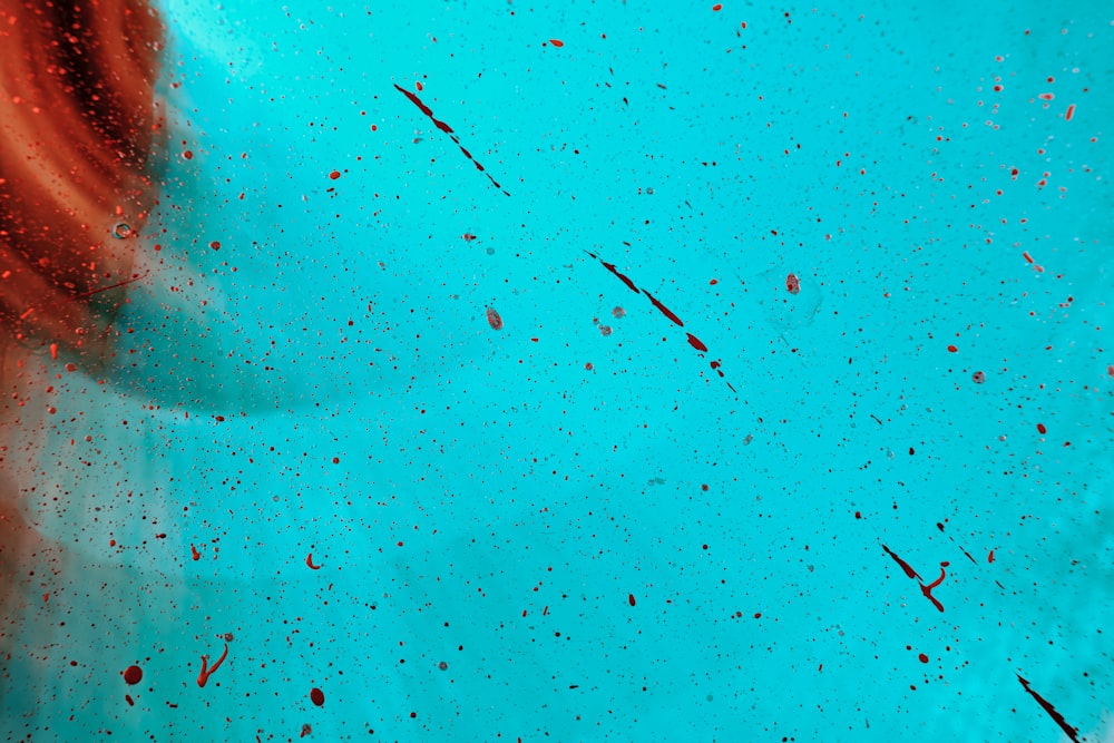 a close up of a person's face with a blue background