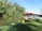 A serene view of canoes lined up along a riverbank.