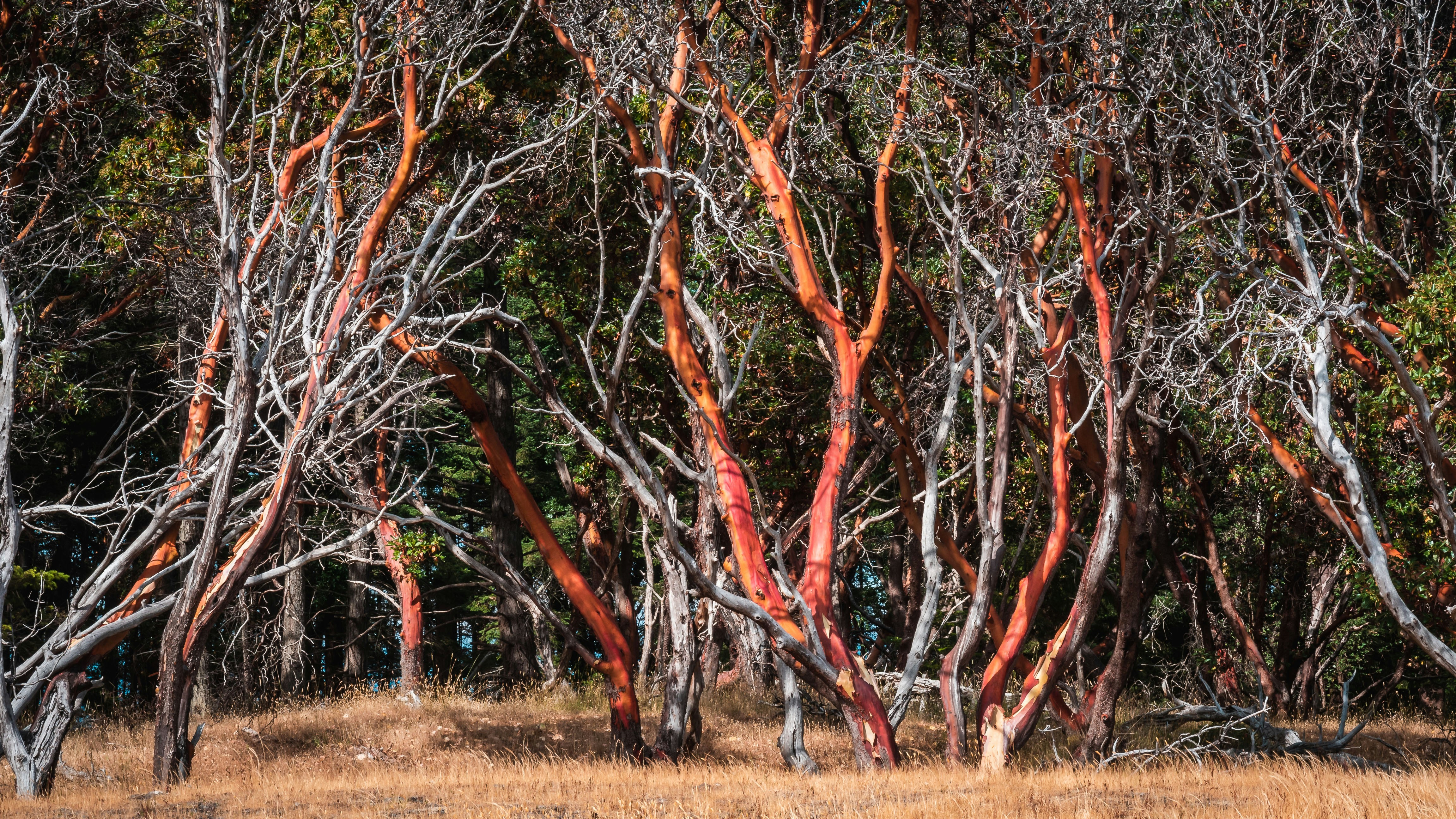 Photo by luctribolet