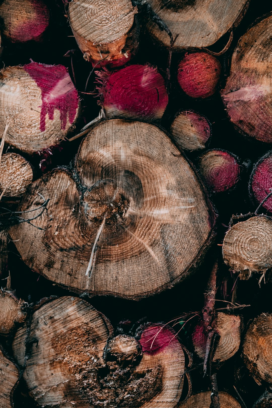 brown and gray wooden logs