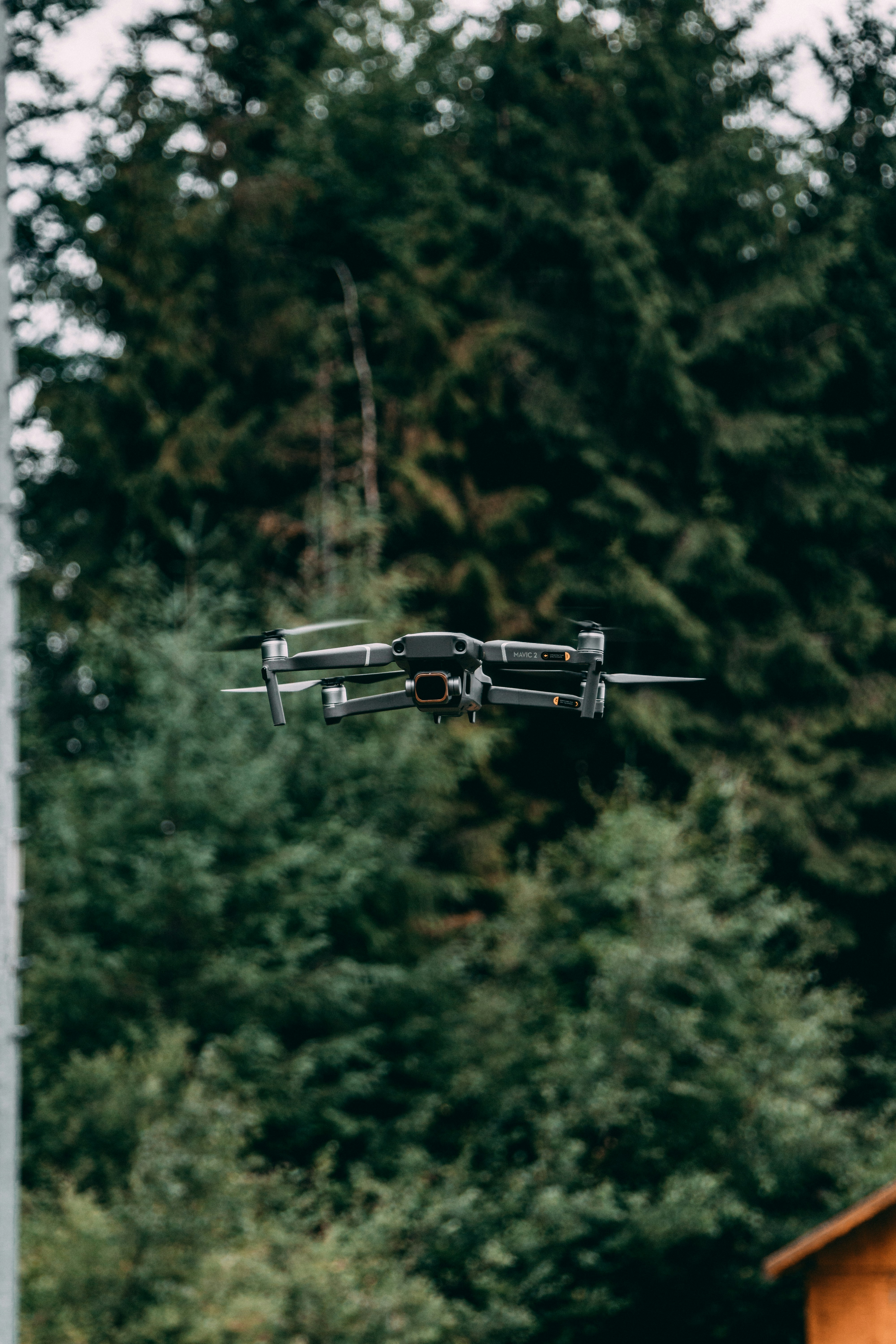 Photo by joshuahanson43