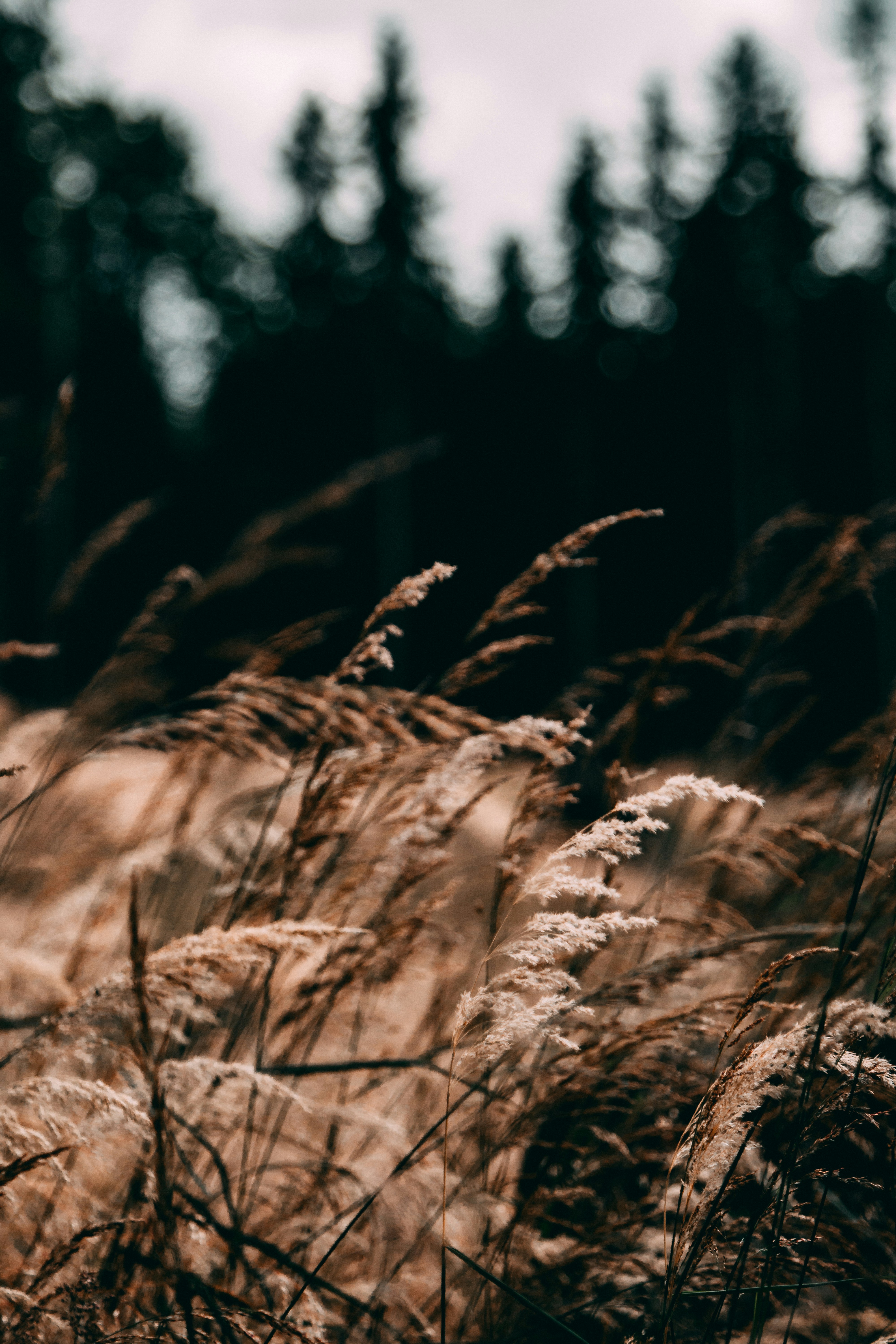 Photo by joshuahanson43