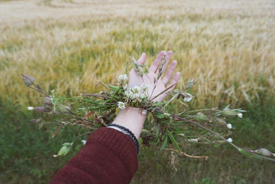 Close-up of hands exchanging business cards with a rustic farm in the background.