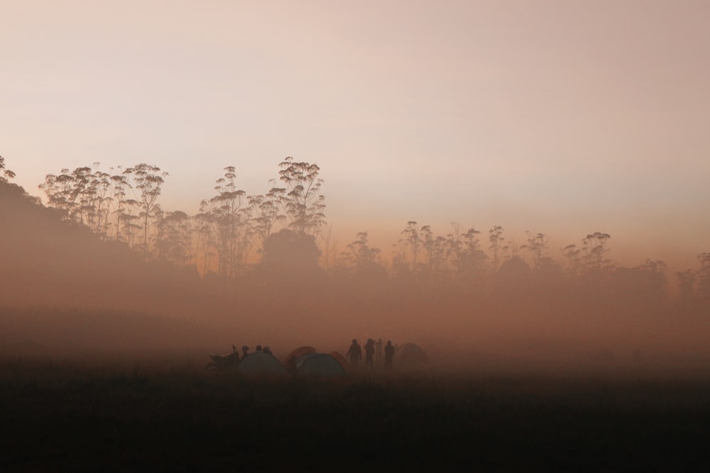 silhouette of people on field