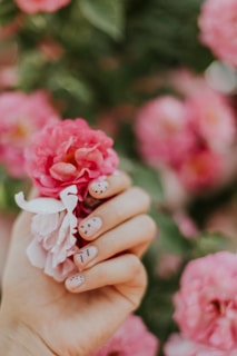 focus photography of pink flower