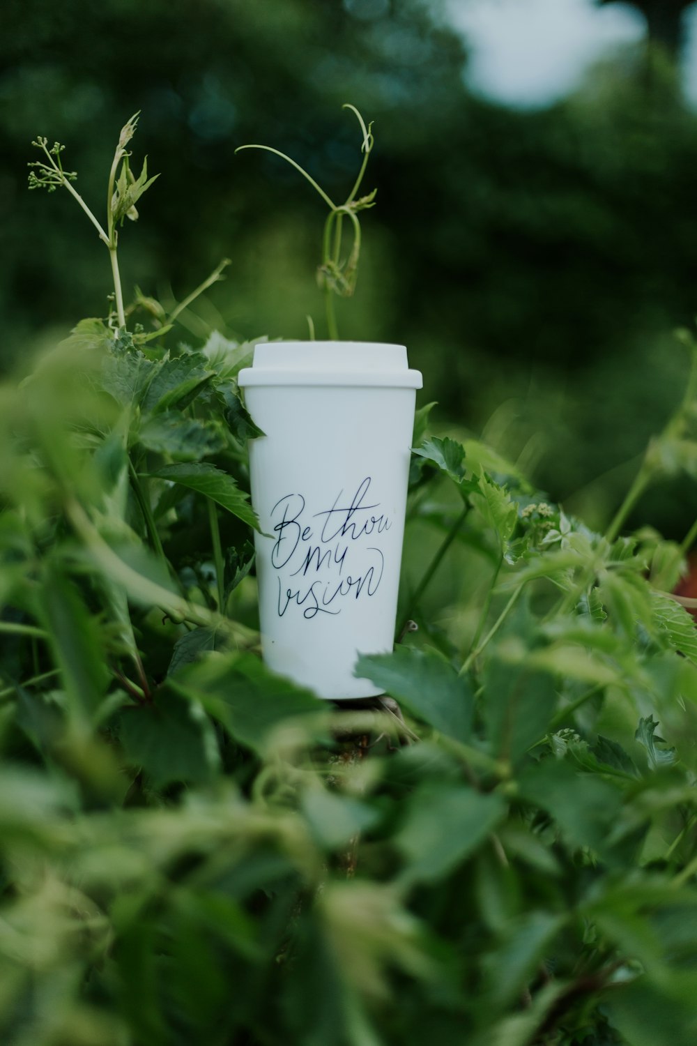 shallow focus photography of white plastic cup