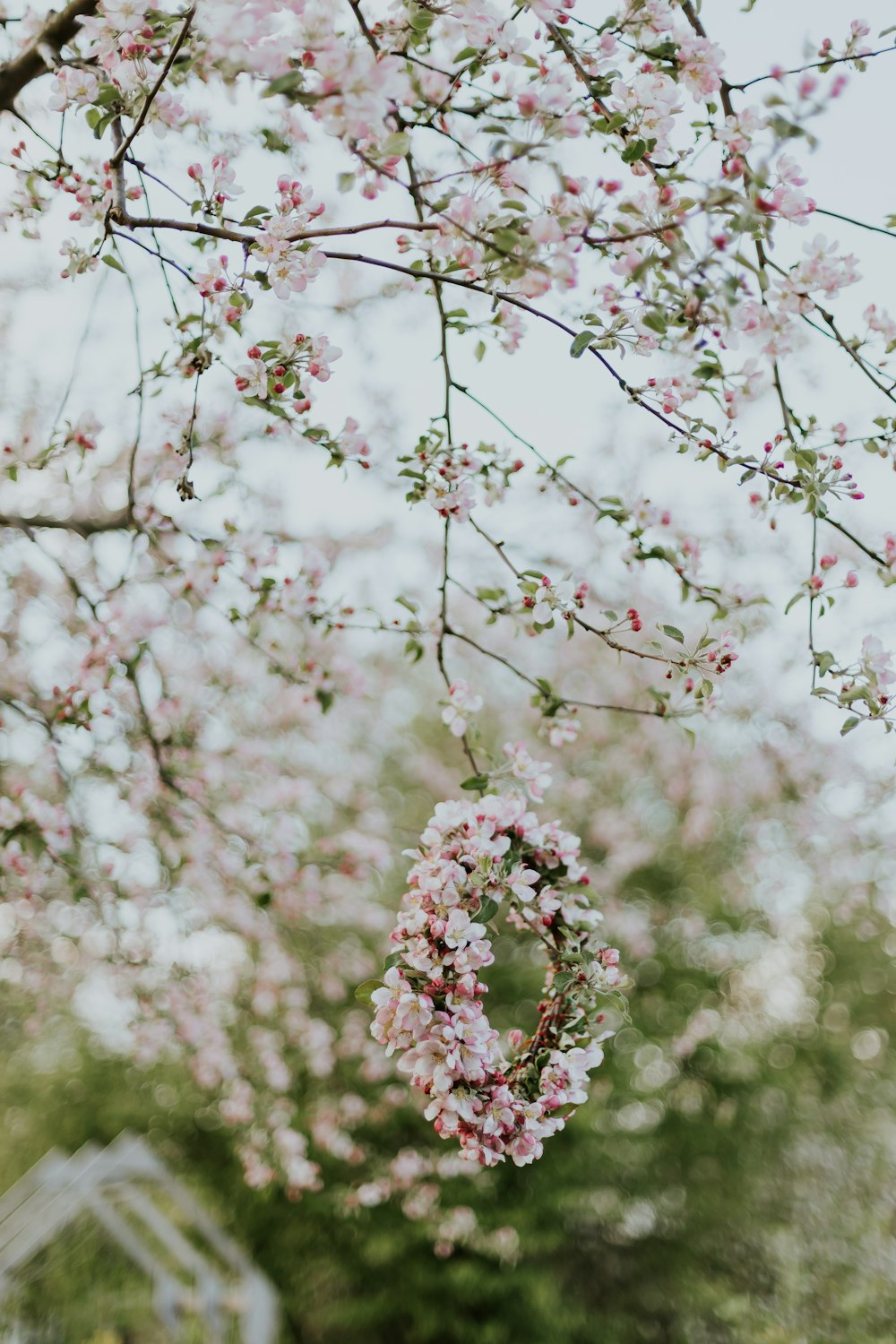 white tree