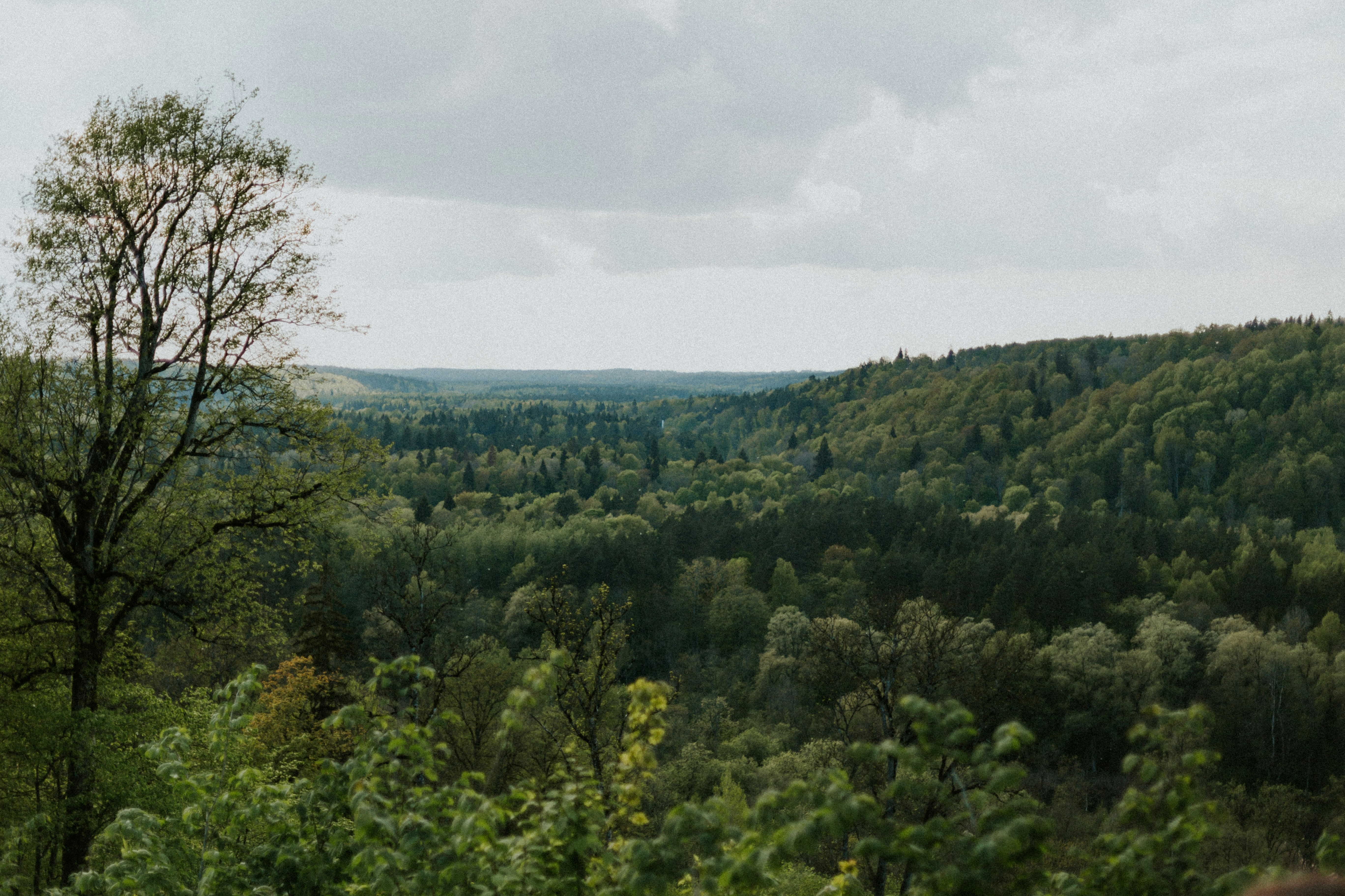 Photo by daiga_ellaby