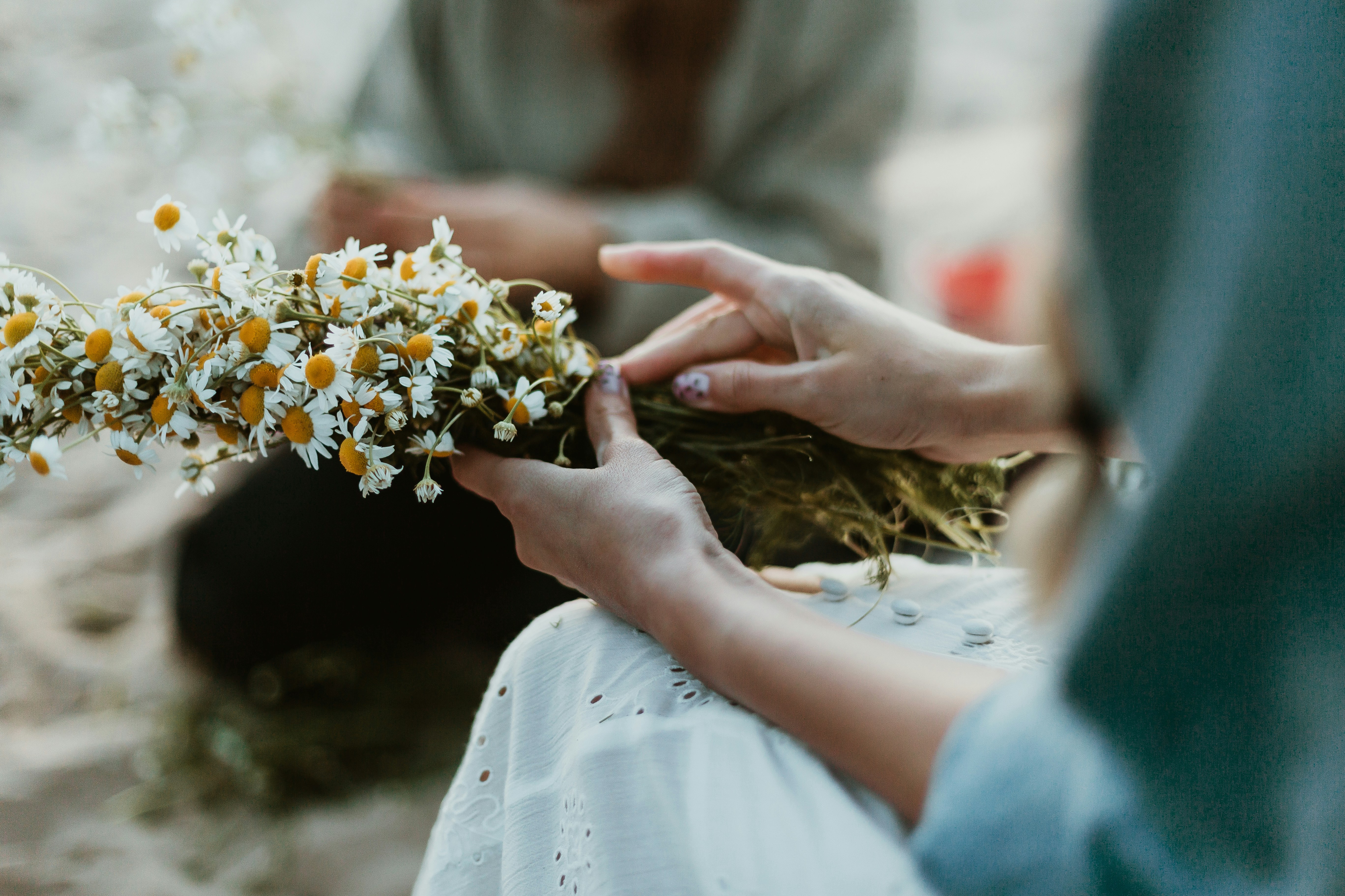 Photo by daiga_ellaby