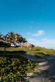 A serene beach landscape with lush greenery and palm trees scattered along the sandy shore. Thatched huts provide shade and add to the tropical setting under a clear blue sky with scattered clouds.
