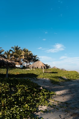 A serene beach landscape with lush greenery and palm trees scattered along the sandy shore. Thatched huts provide shade and add to the tropical setting under a clear blue sky with scattered clouds.