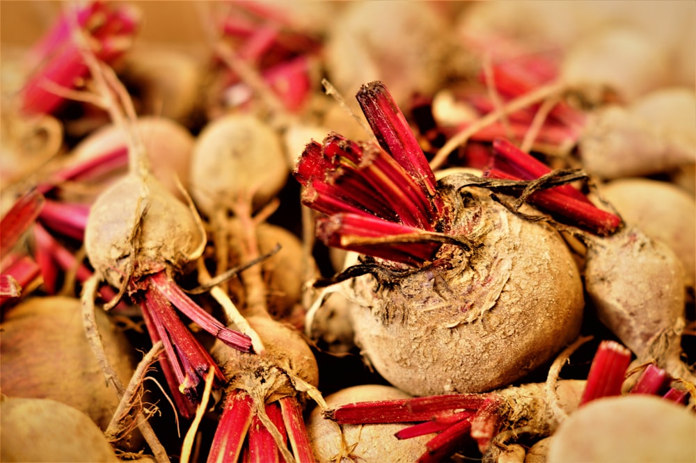 brown and red vegetables