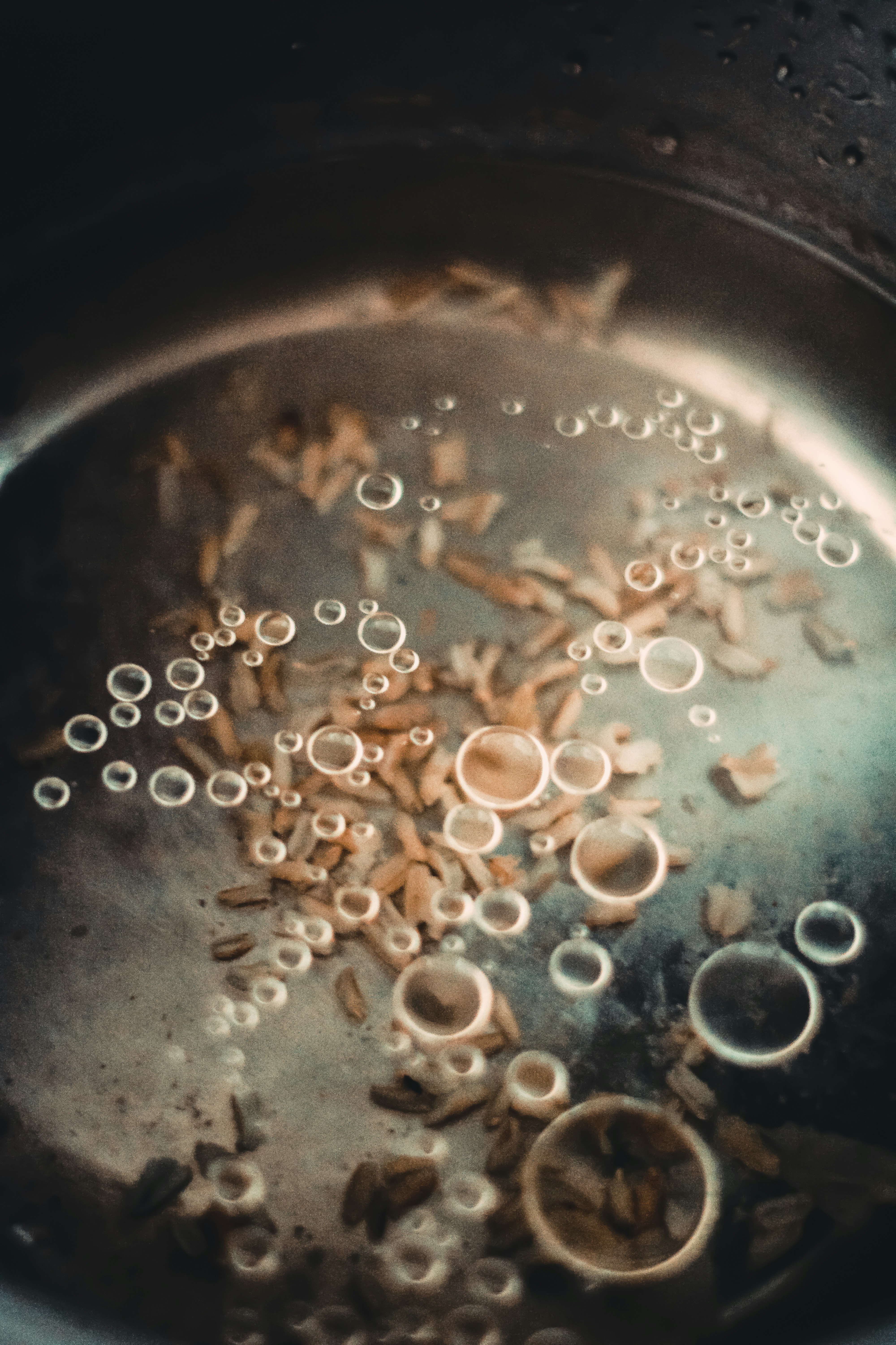 Food Production's Microscopic Partners (image credits: unsplash)