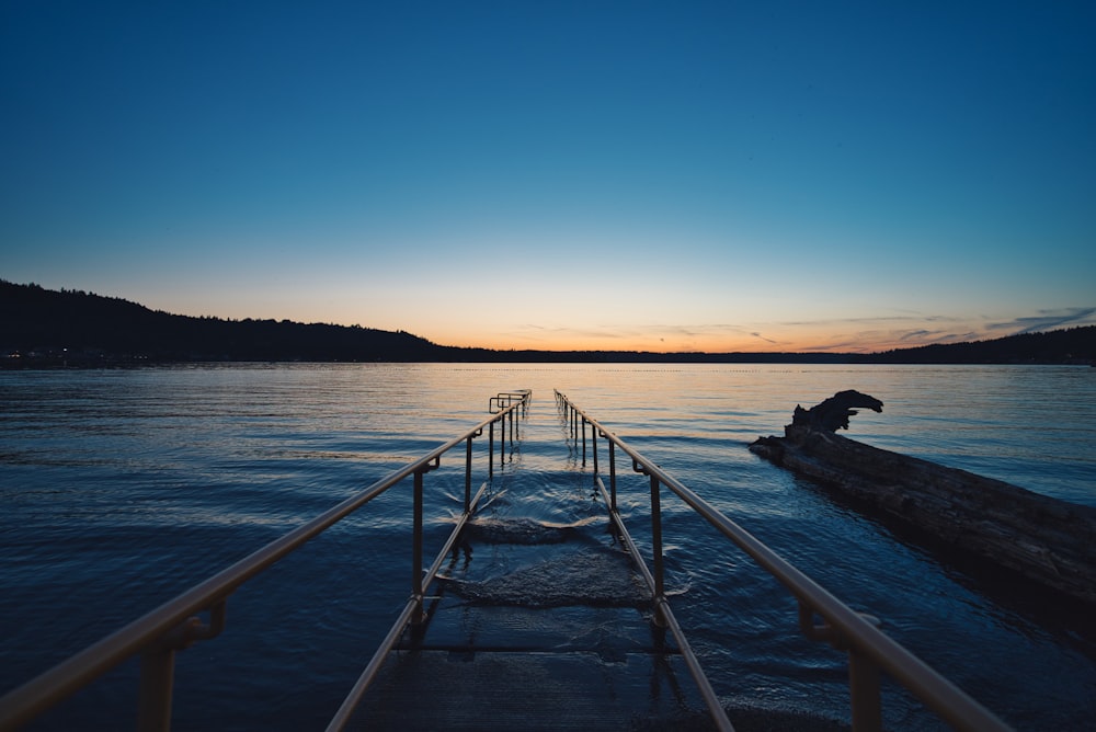 brown wooden dock towards water