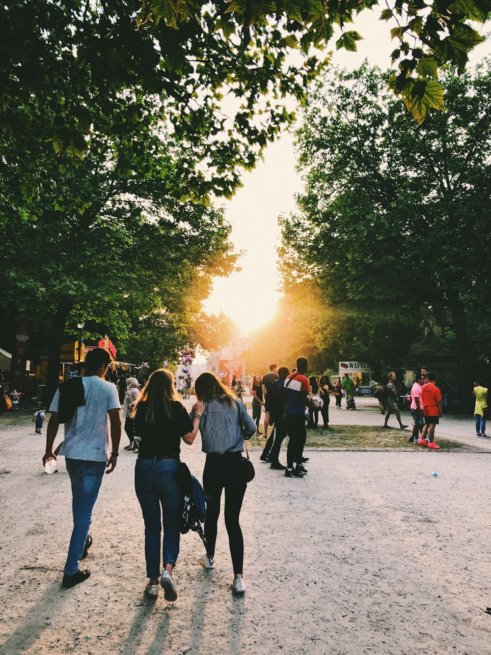 people walking near park surrounded with tall and green trees