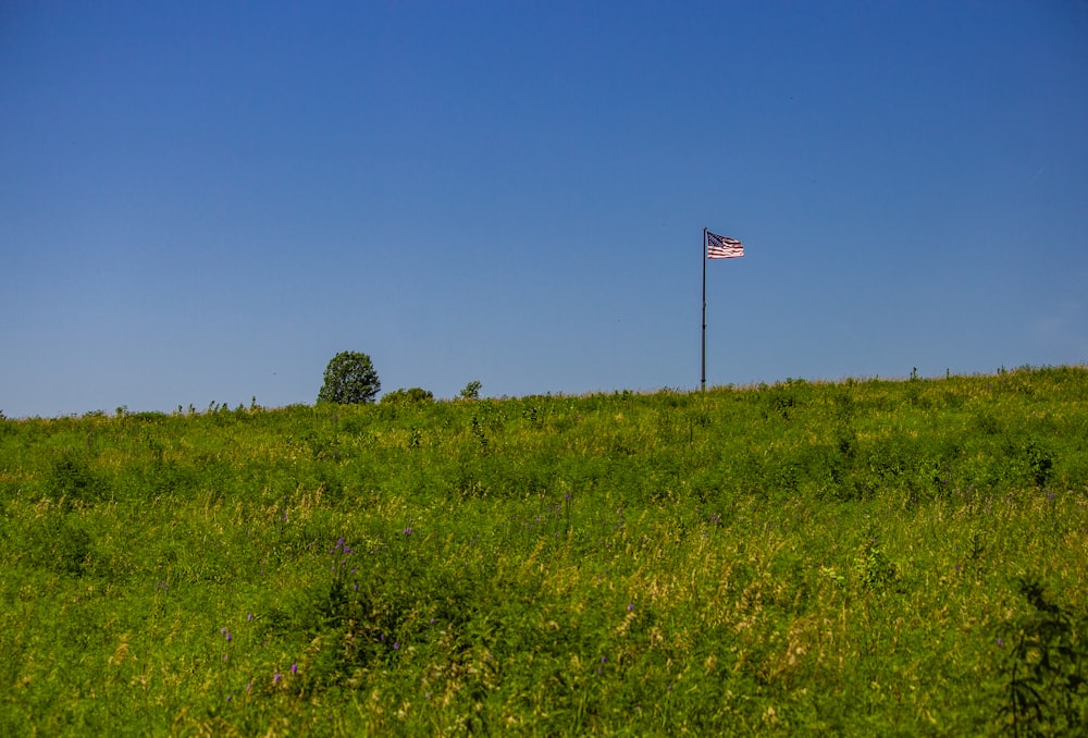 Drapeau américain sur un mât de drapeau au milieu d’un champ vert
