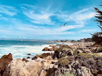 A coastal scene with rugged cliffs and rocky shoreline, waves crashing against the rocks. A seagull soars in the clear blue sky above, and lush greenery can be seen on some rocky outcrops and trees lining the shore. The horizon stretches out into the distance under a blue sky with wispy clouds.