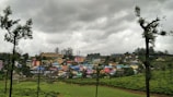 A small hillside town with colorful houses is nestled amid lush green vegetation. The area is surrounded by tea plantations and tall, sparse trees. Overhead, dark, cloudy skies suggest overcast weather.