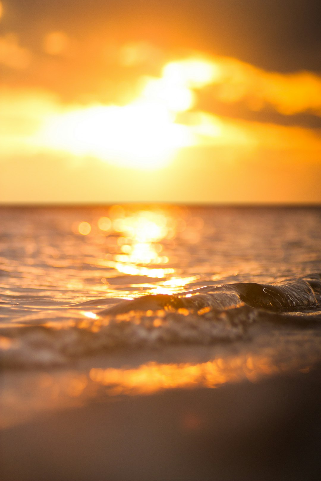 selective focus photography of sea during sunset