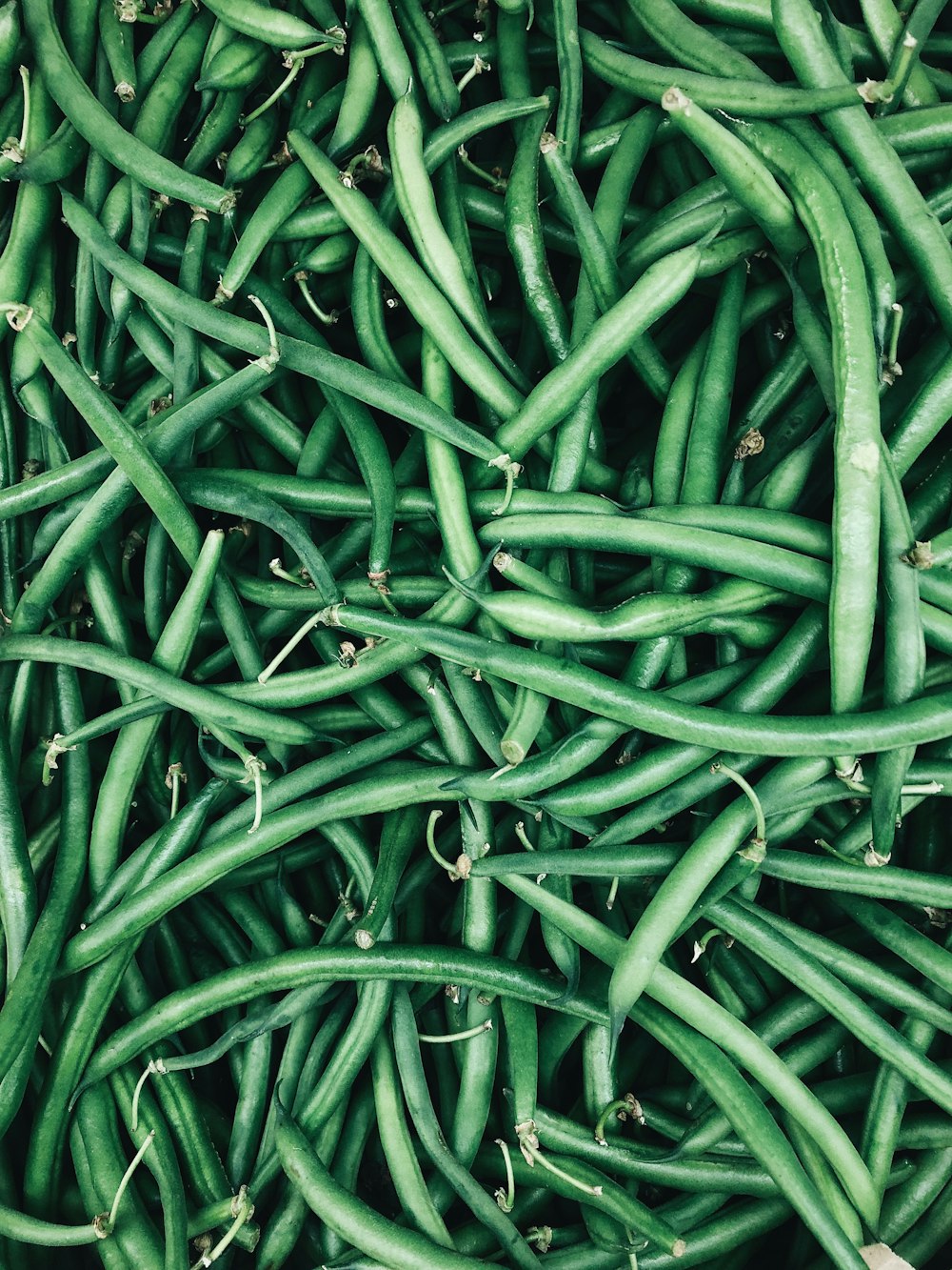 haricots verts