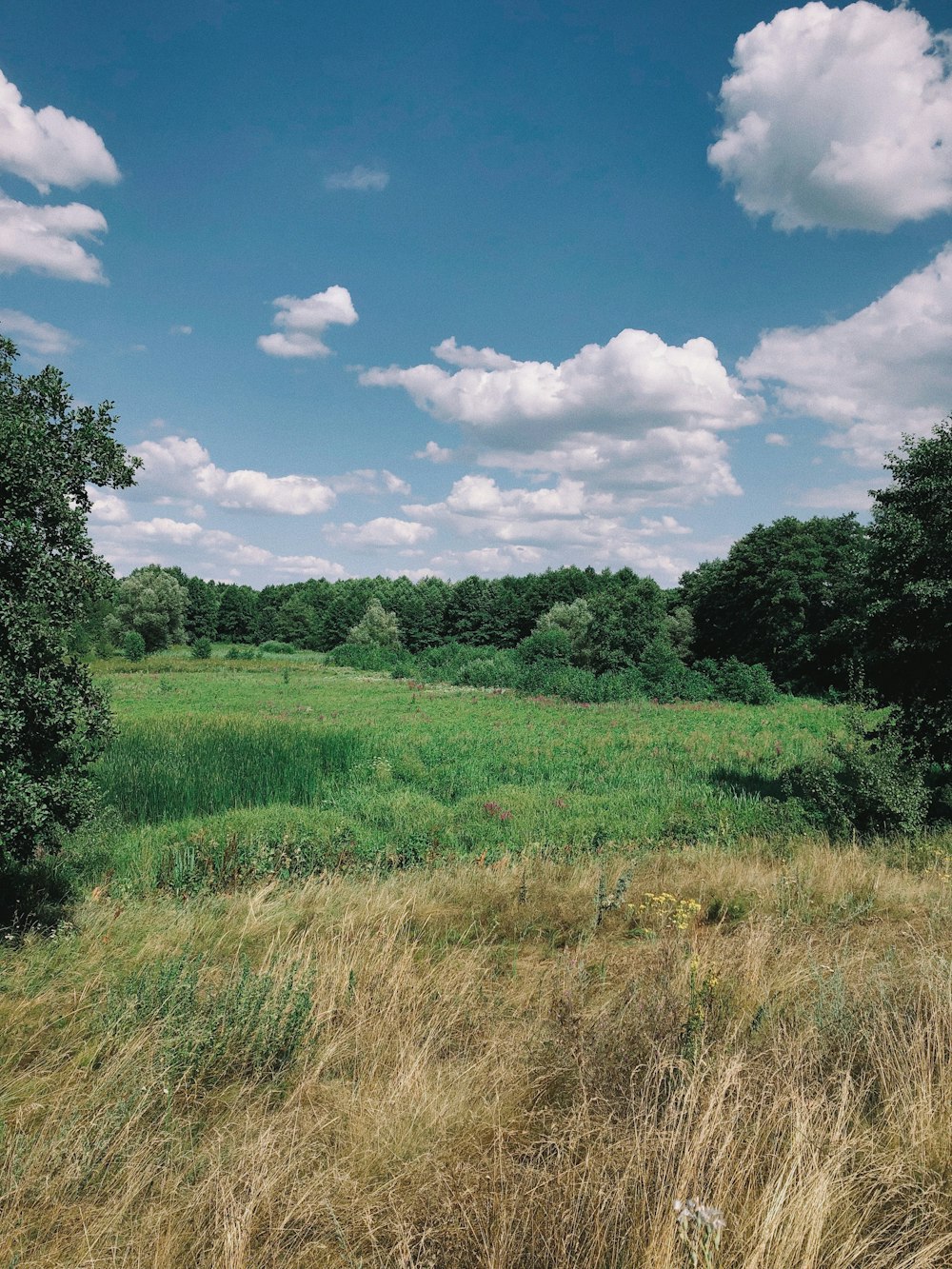 green field under white clouds and blue sky during daytime