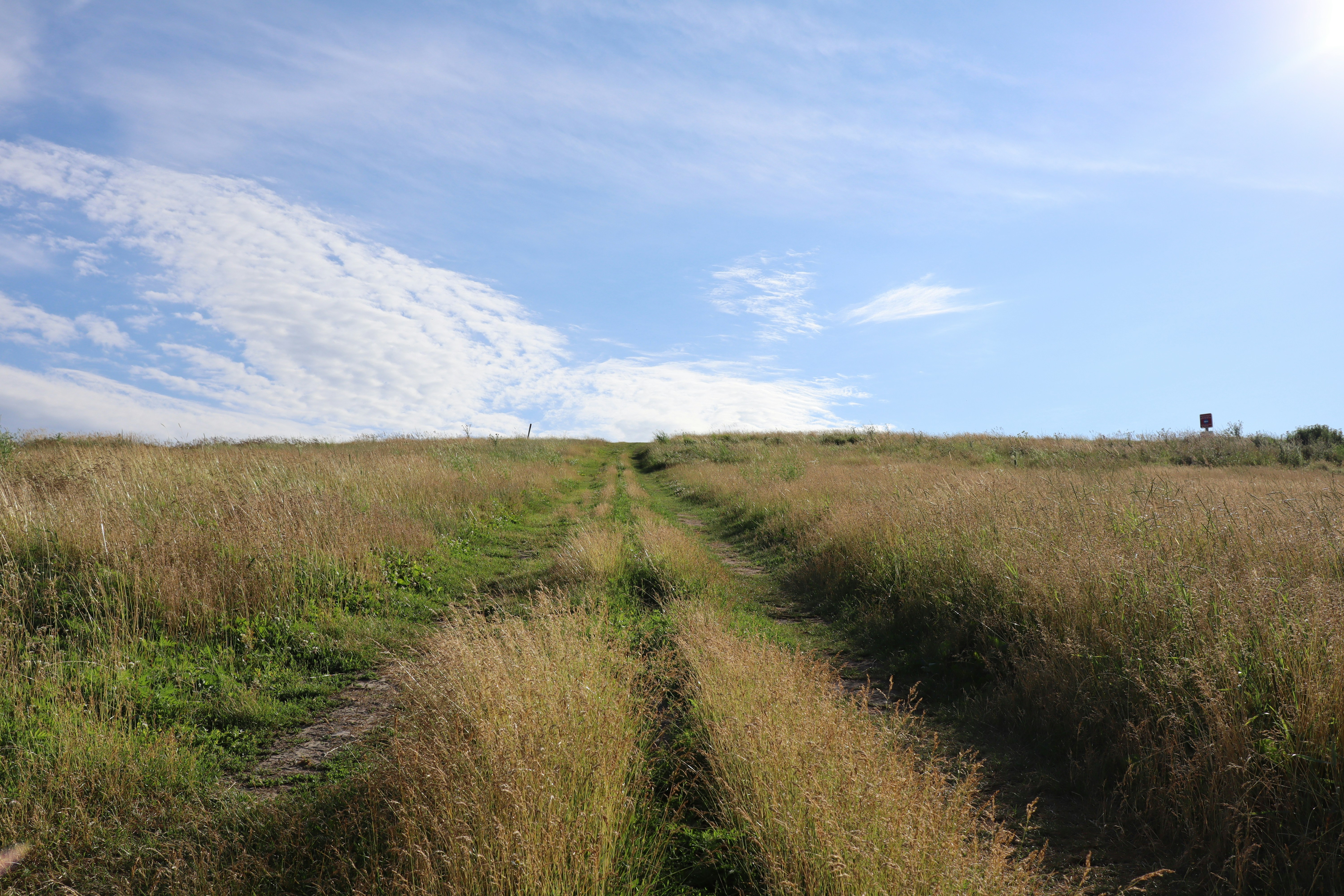 Photo by danreynolds