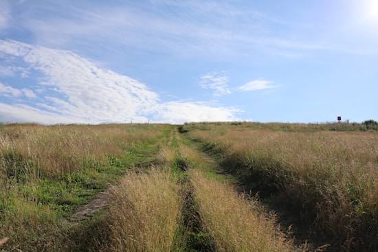 A dirt path cuts through tall grass on either side, leading up a gentle hill under a wide, partly cloudy sky. The sunlight casts a soft glow over the landscape, creating a serene and open atmosphere.