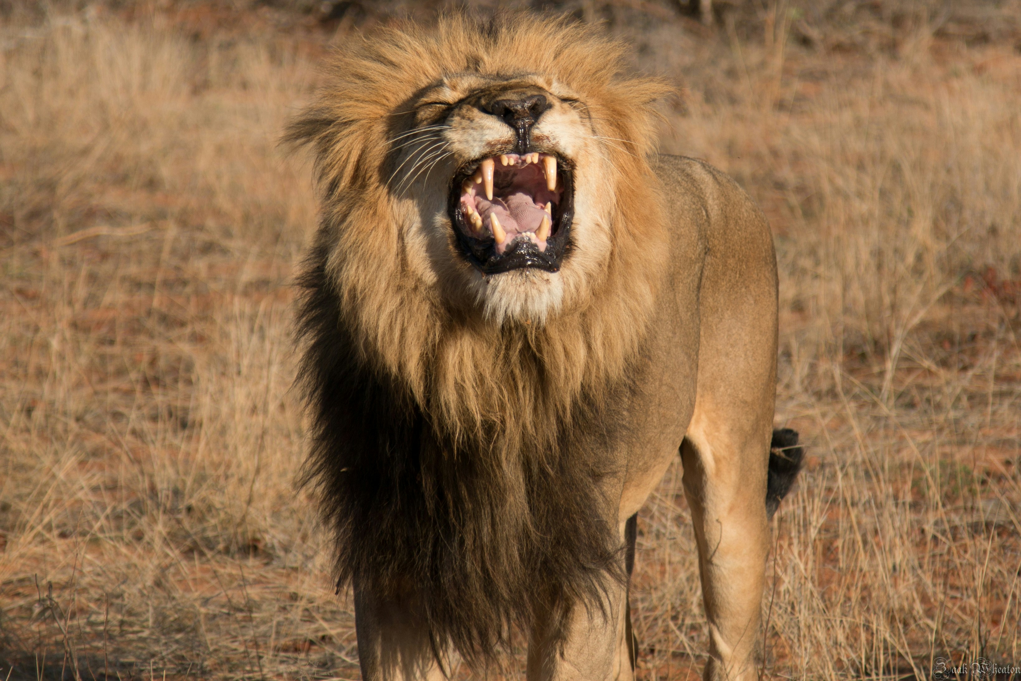 Photo by jake_photo06