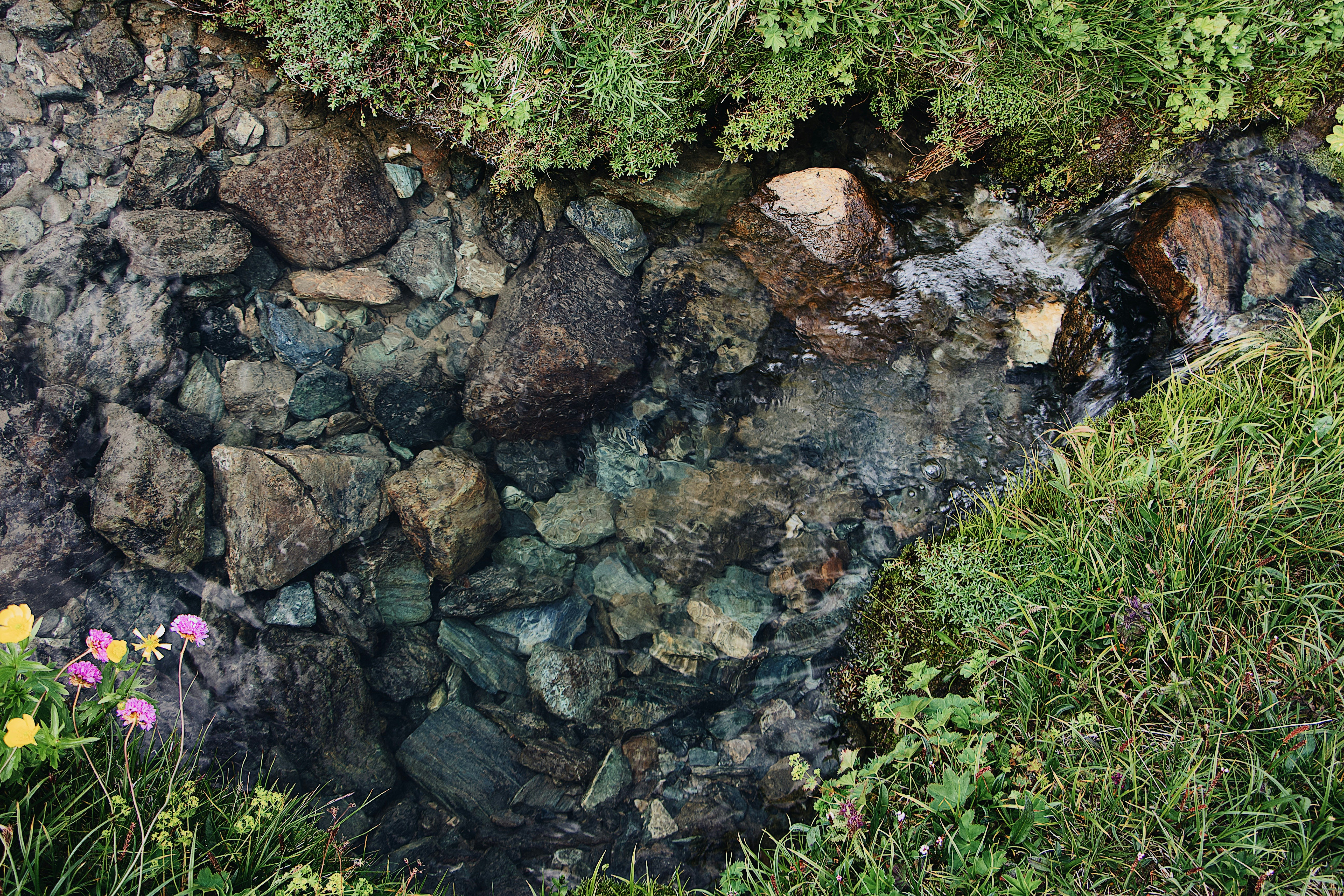 rocky stream