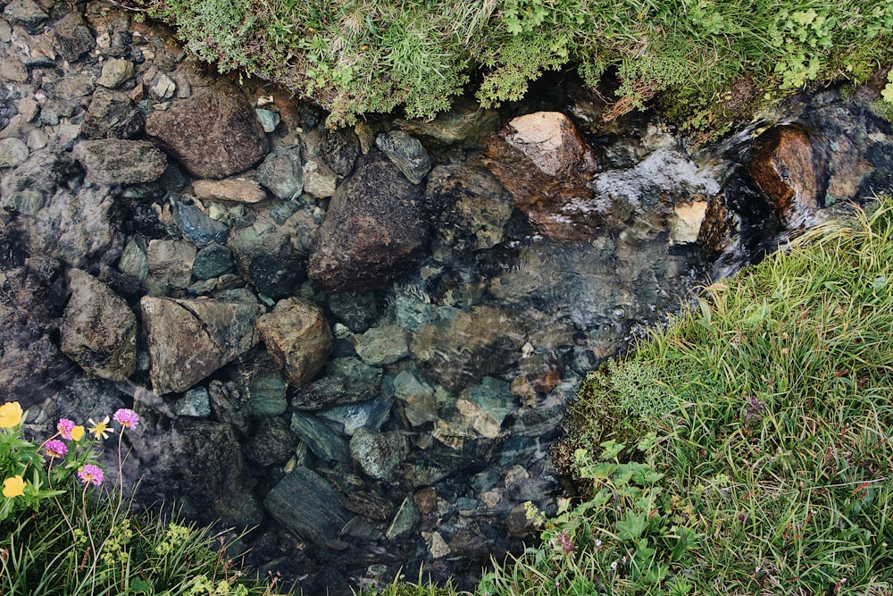 rocky stream