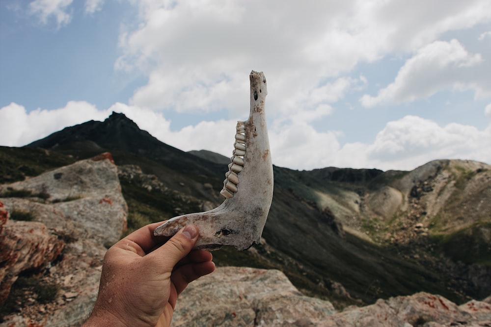 person holding skull fang