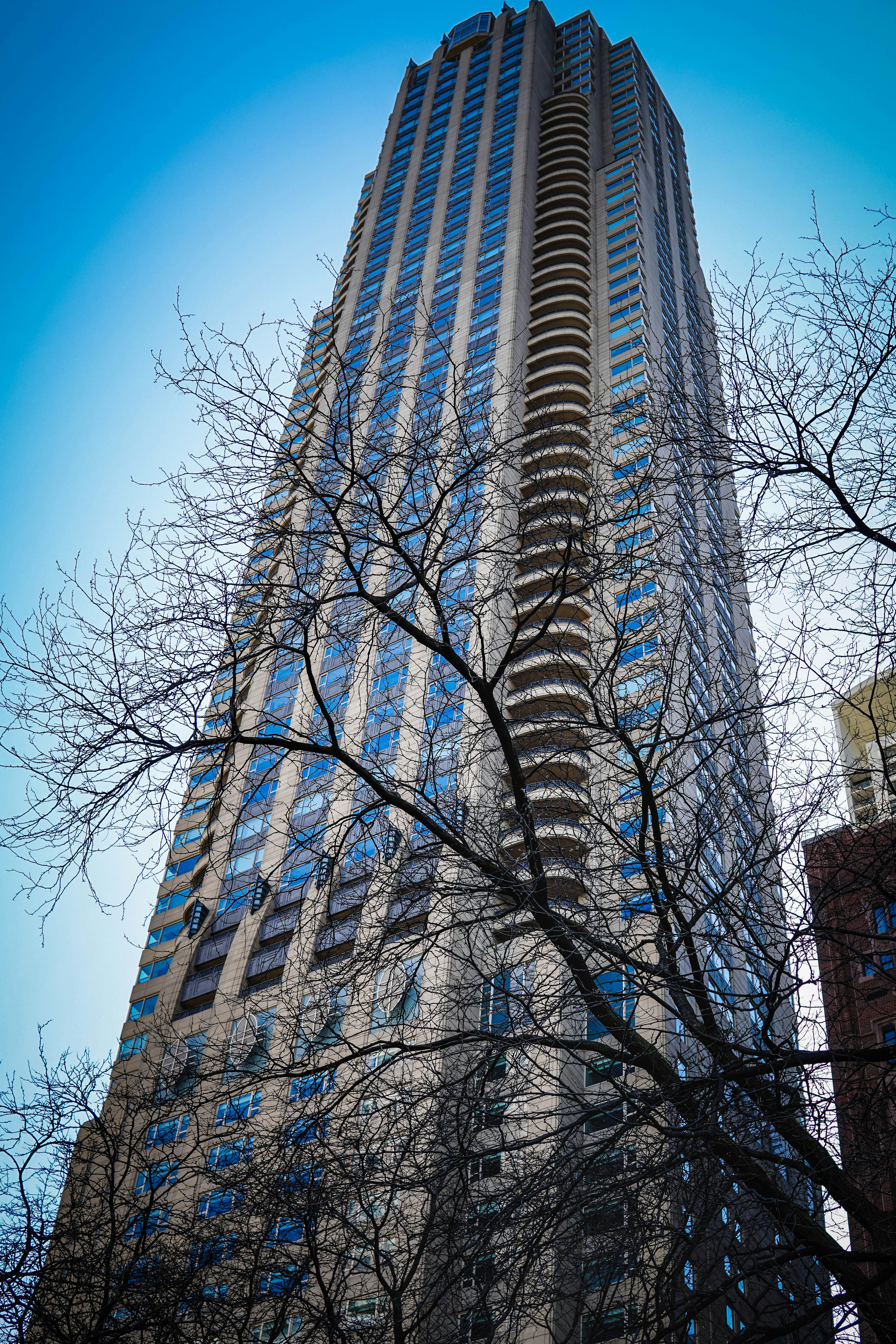 Photo by gardnerjorge