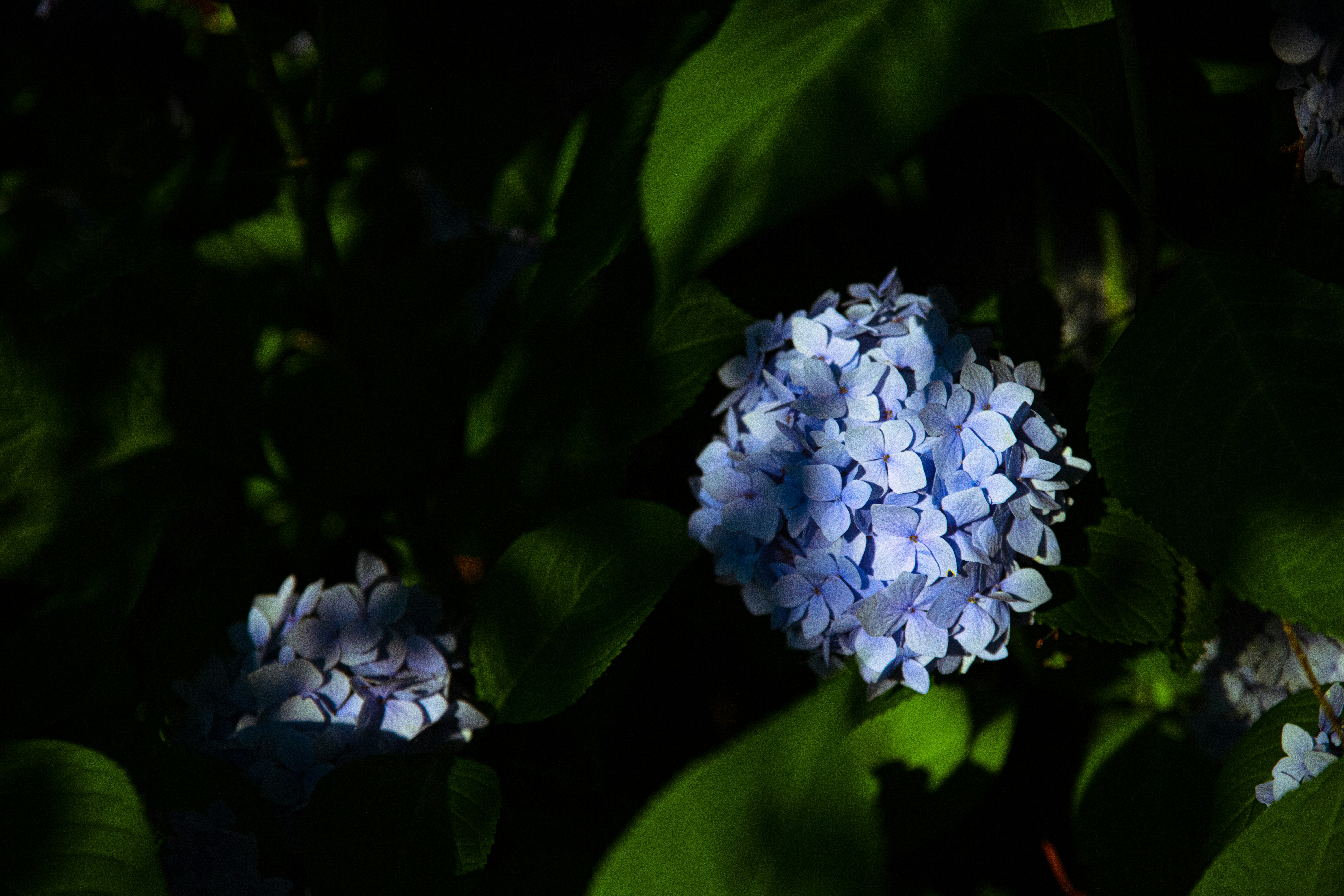 Photo by worldsbetweenlines