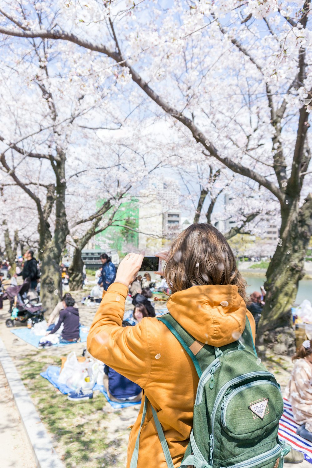 person standing beside tree