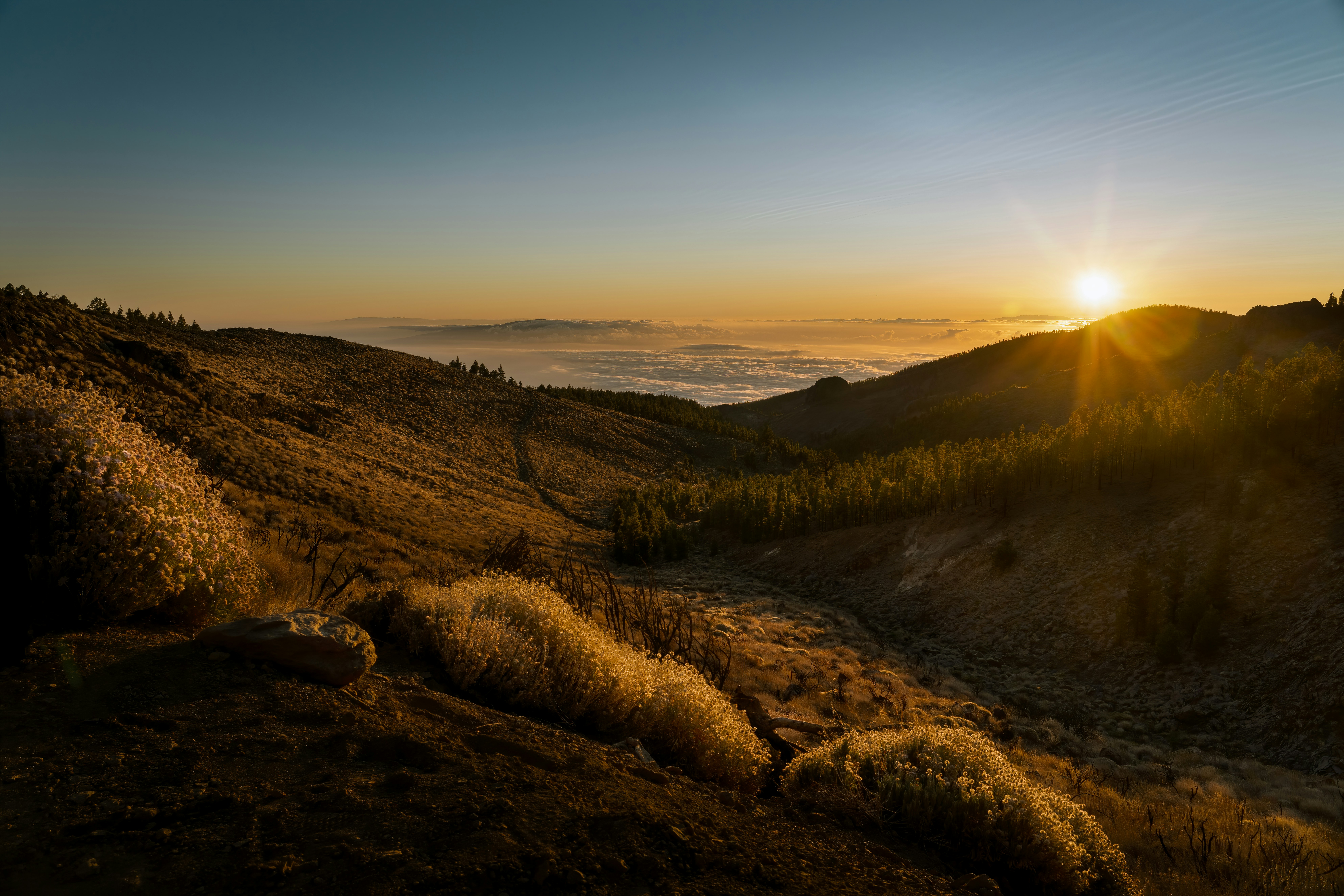 Photo by christianbuehner