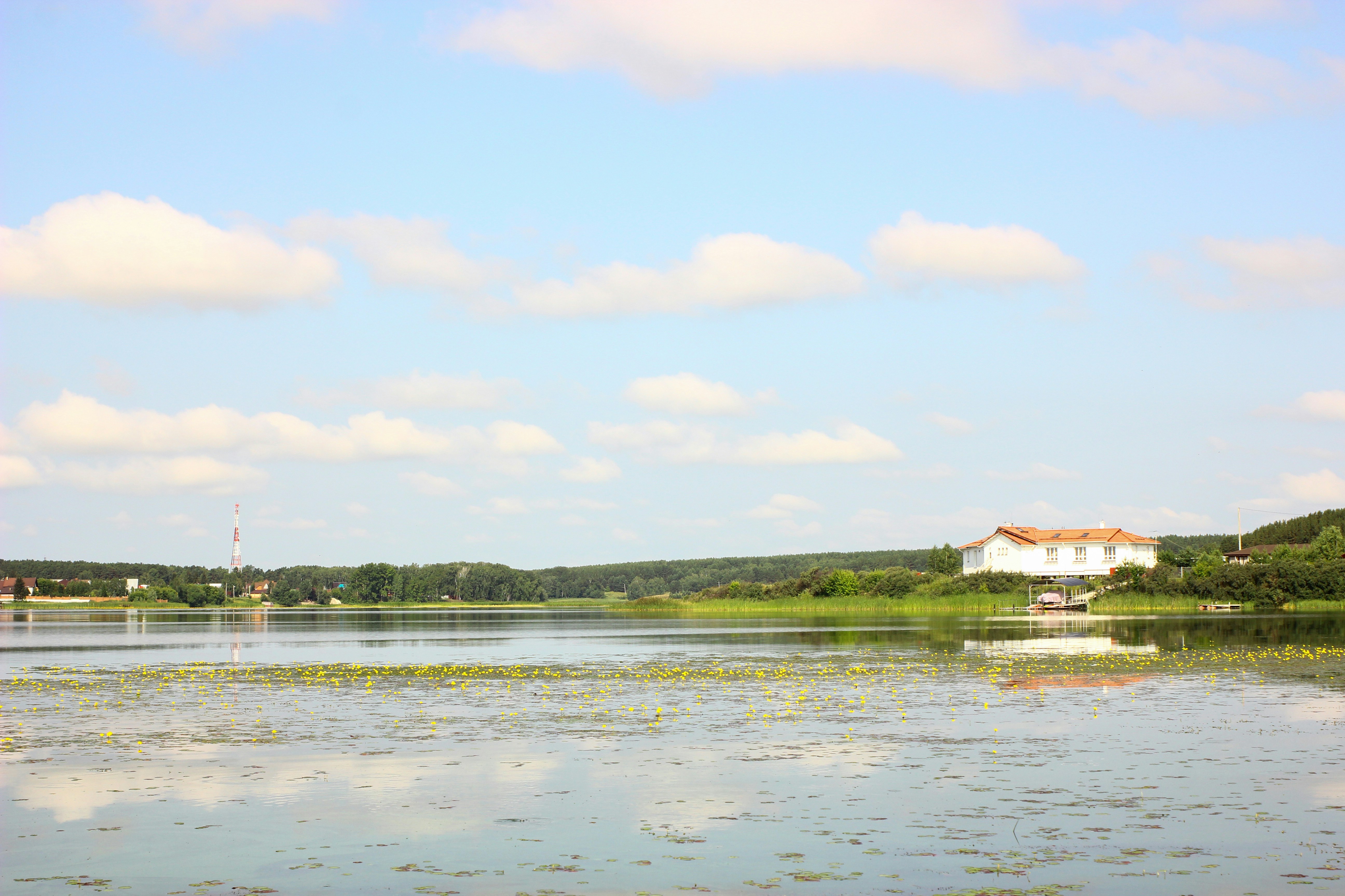 weiße Struktur in der Nähe des Gewässers