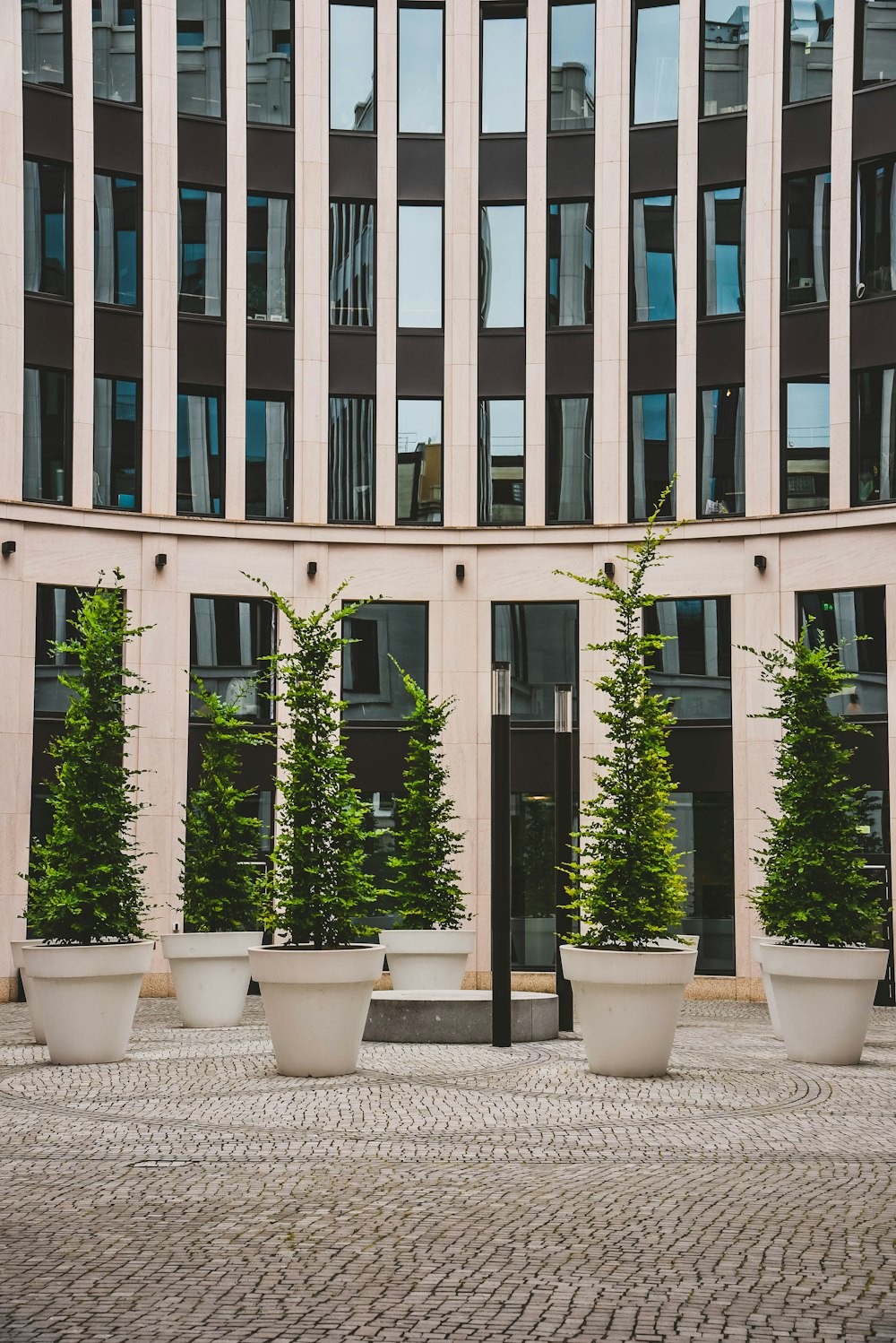 a building with a bunch of trees in front of it