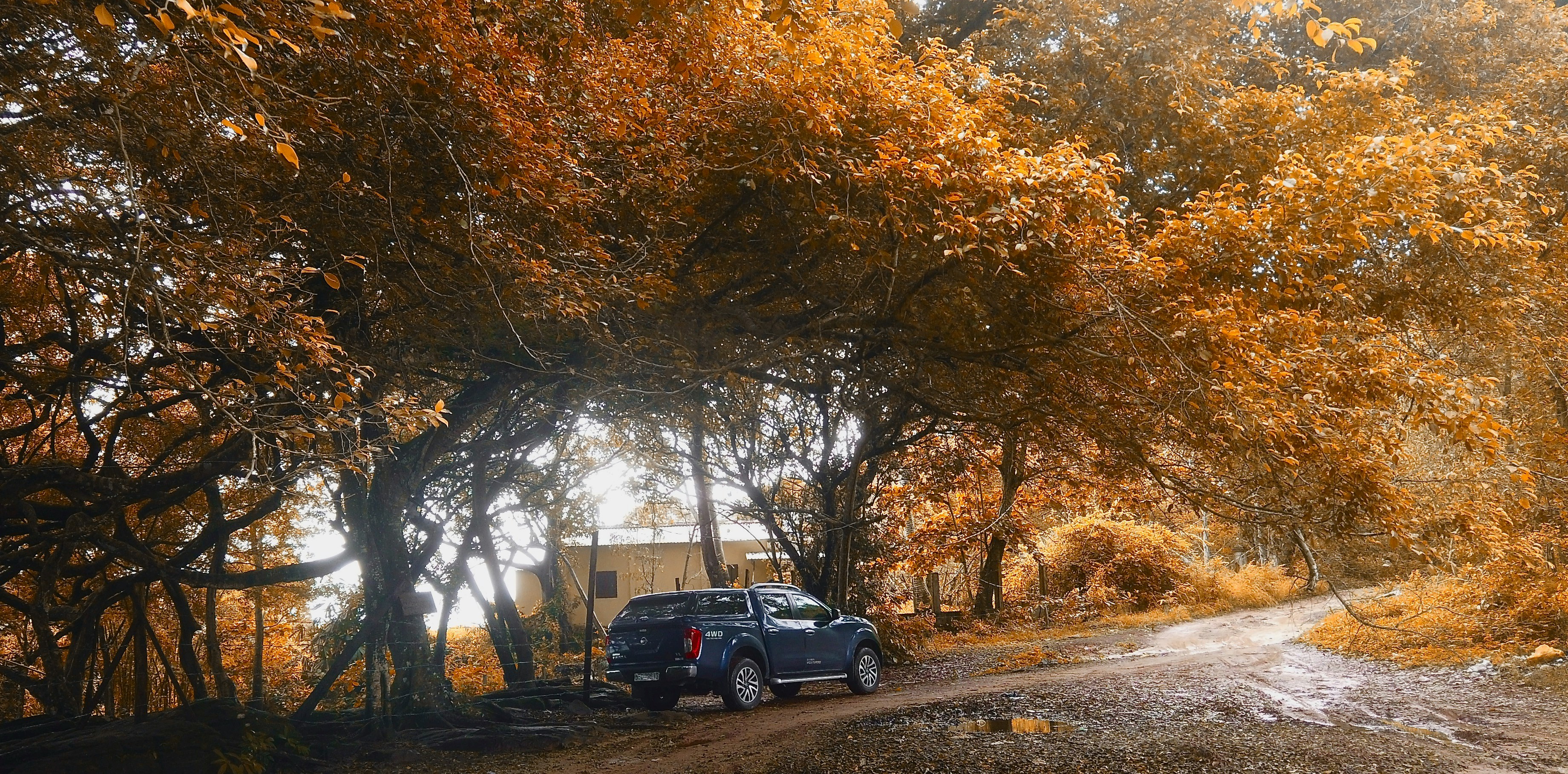 Photo by chauhoai