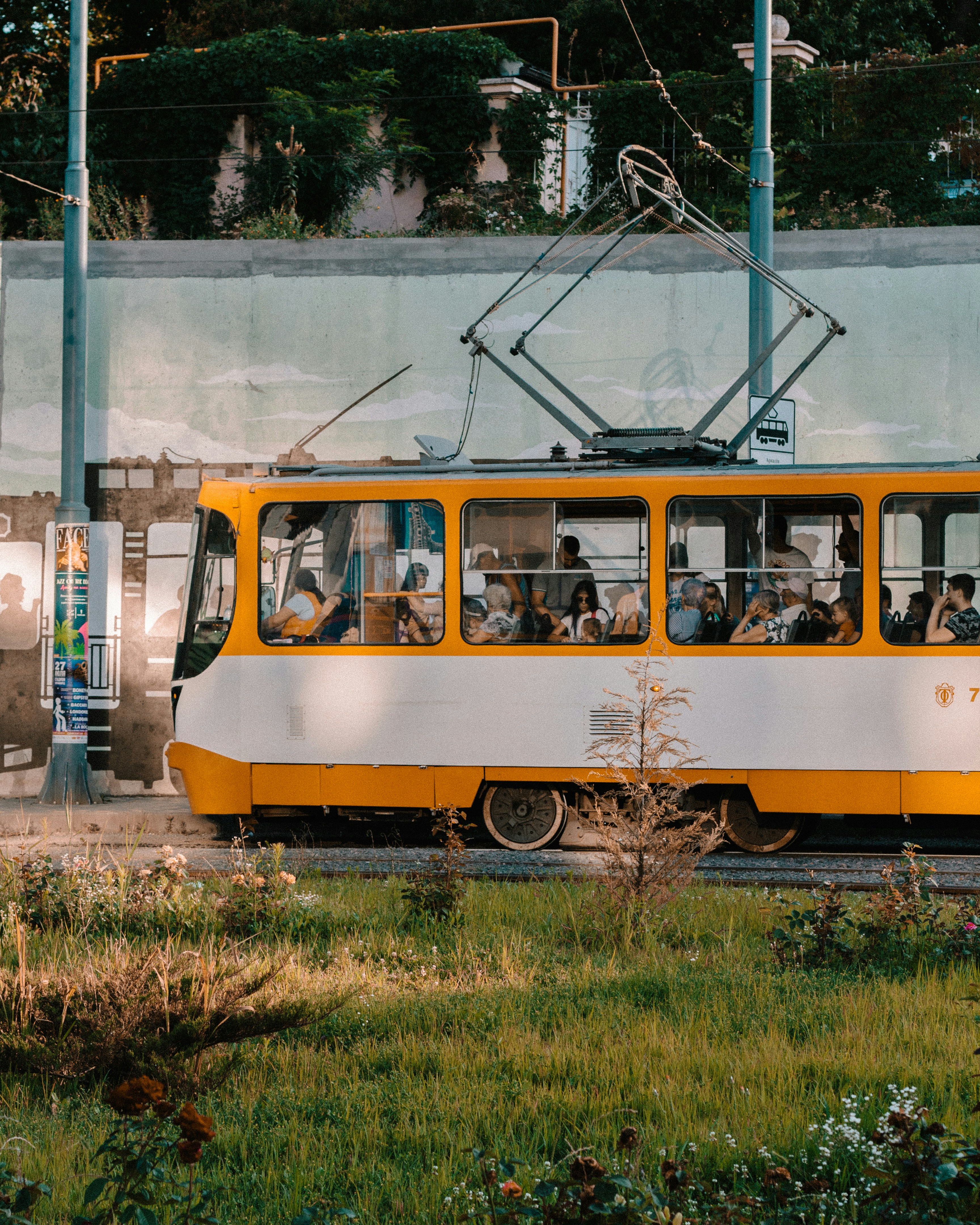 Photo by thewayofcolor