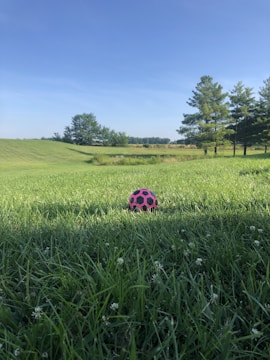 A portable sports pump inflating a soccer ball on a grassy field.