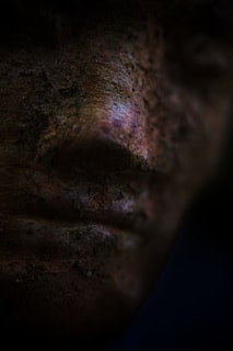 Close-up of a hauntingly detailed, shadowy sculpture with organic and mechanical textures