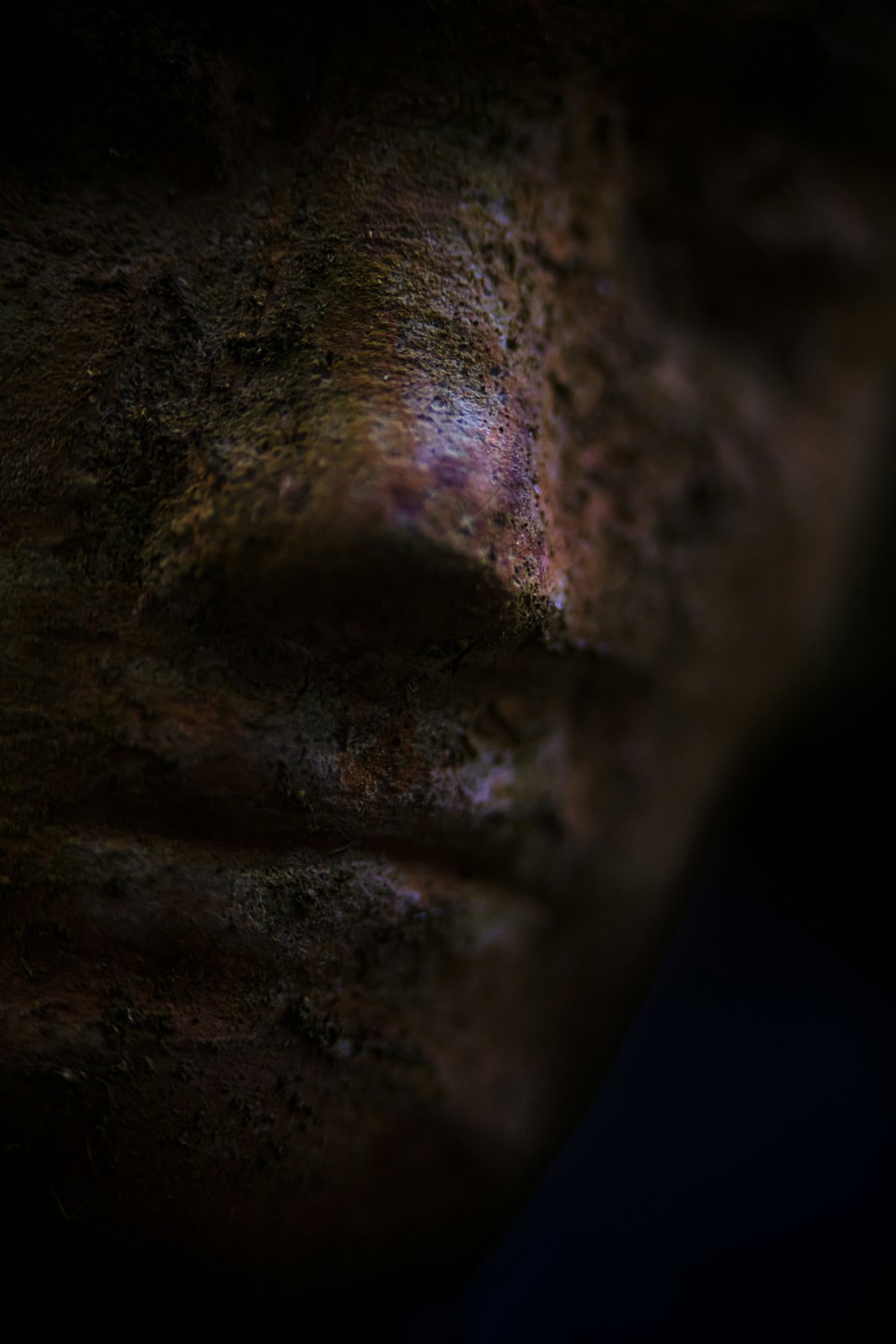 human face sculpture in closeup photo