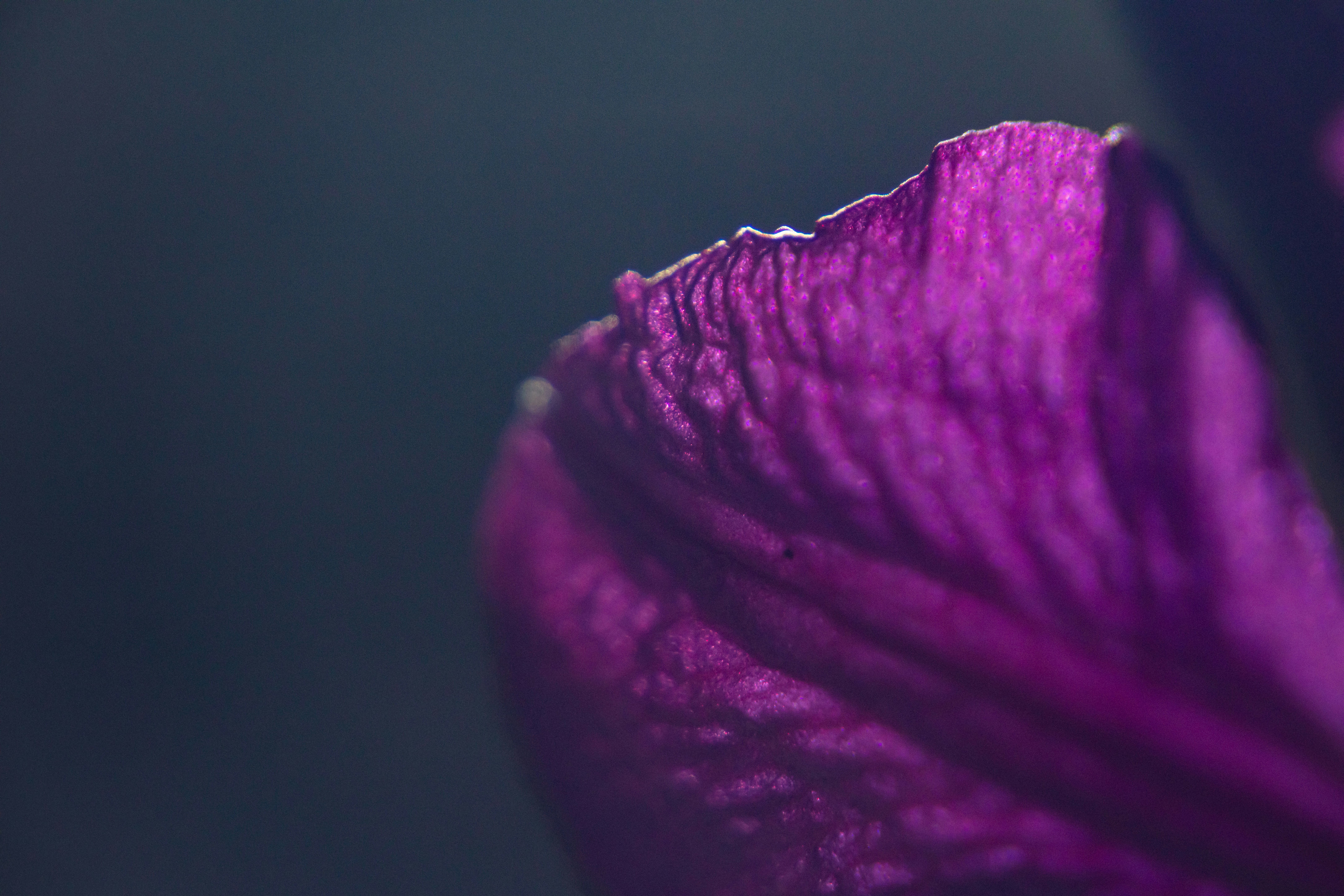 Photo by worldsbetweenlines