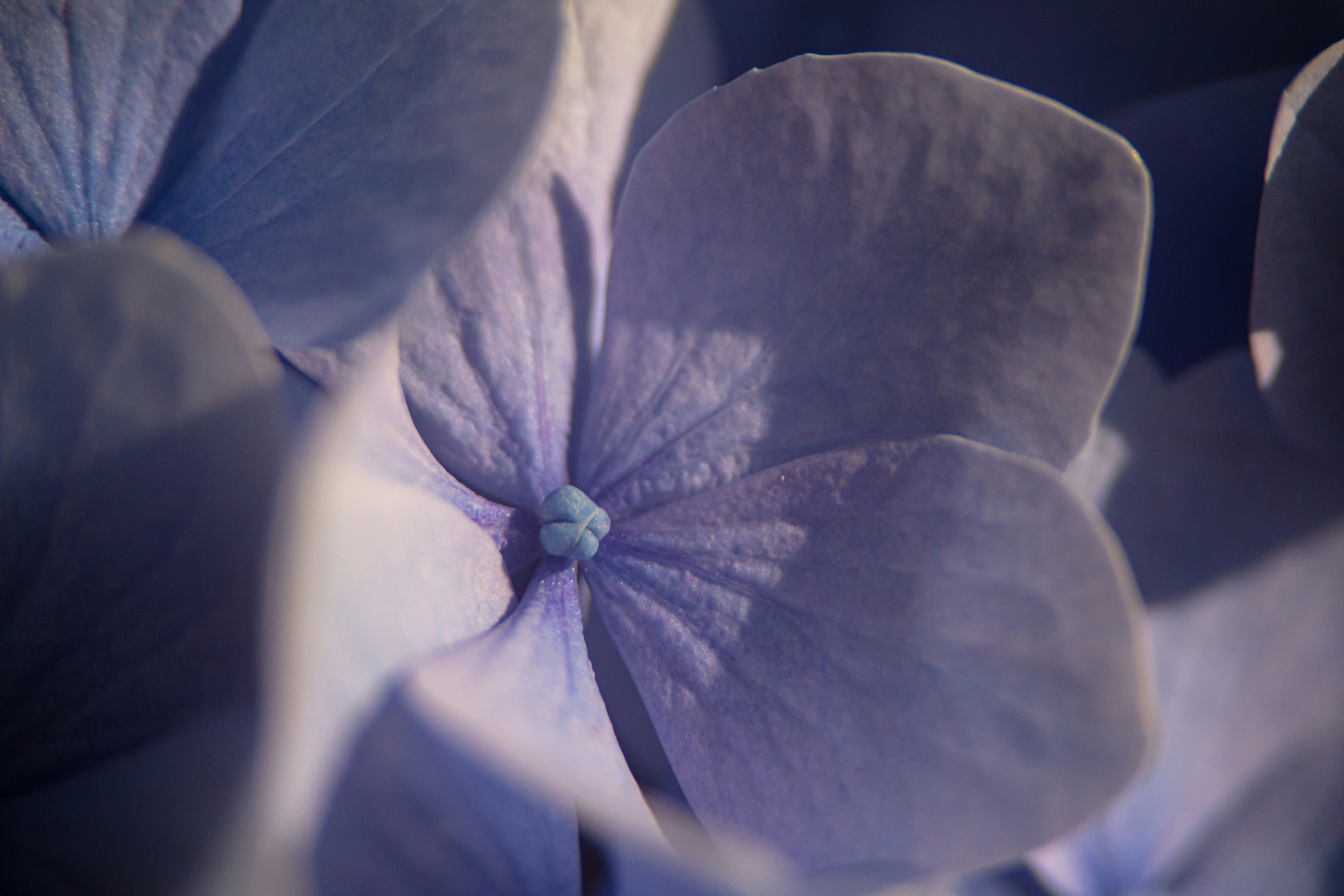 Photo by worldsbetweenlines