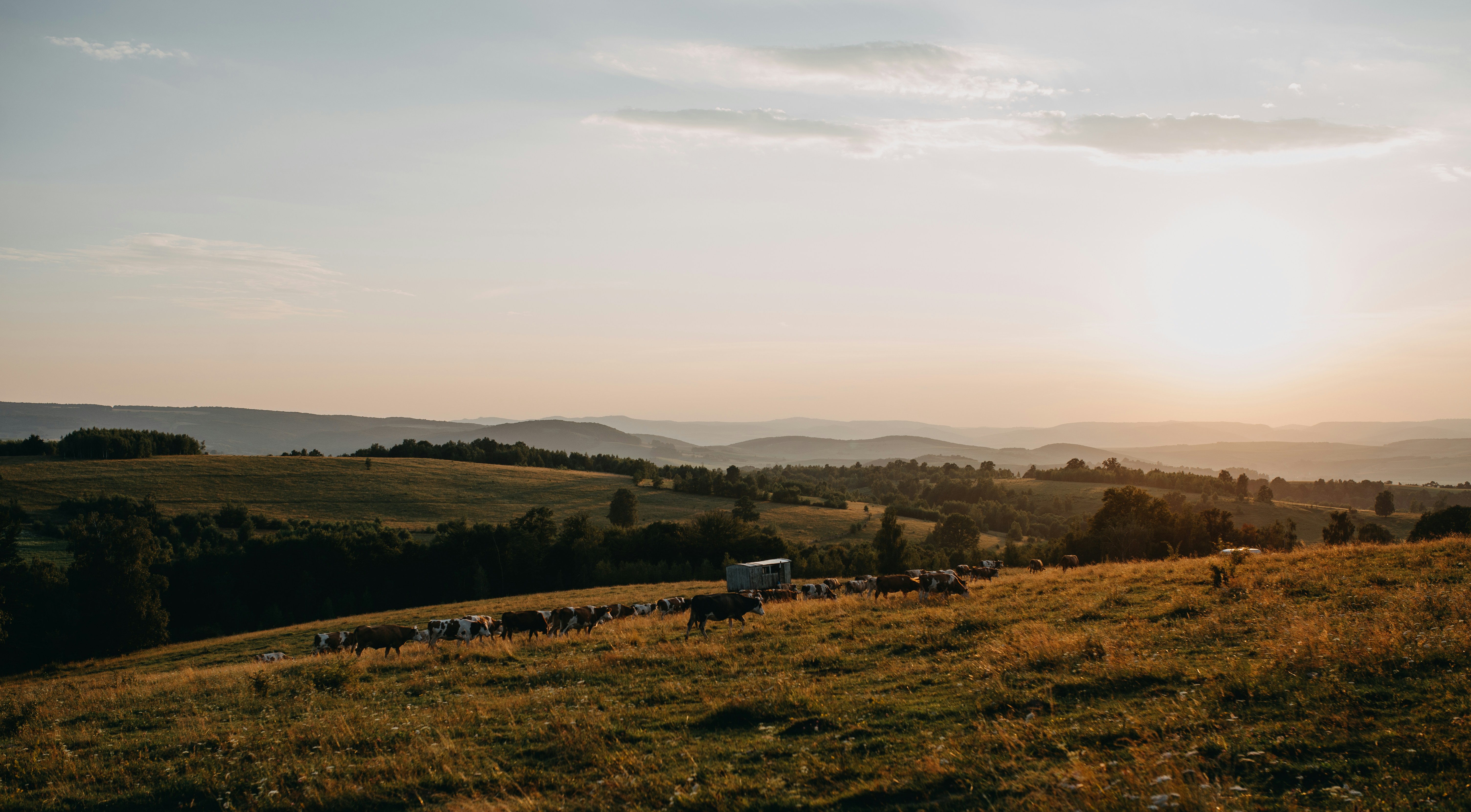 Photo by barnikakovacs