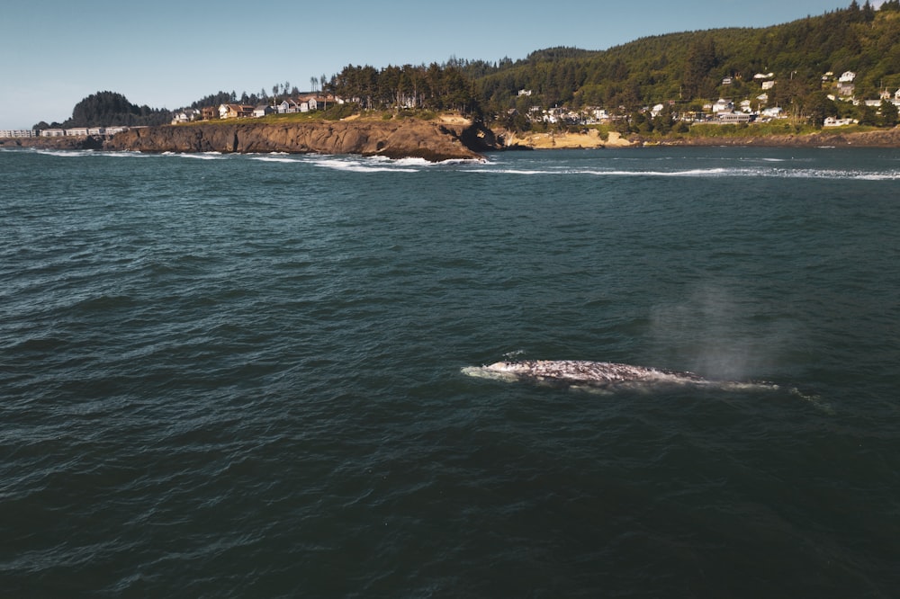 un grand plan d’eau avec une petite île en arrière-plan