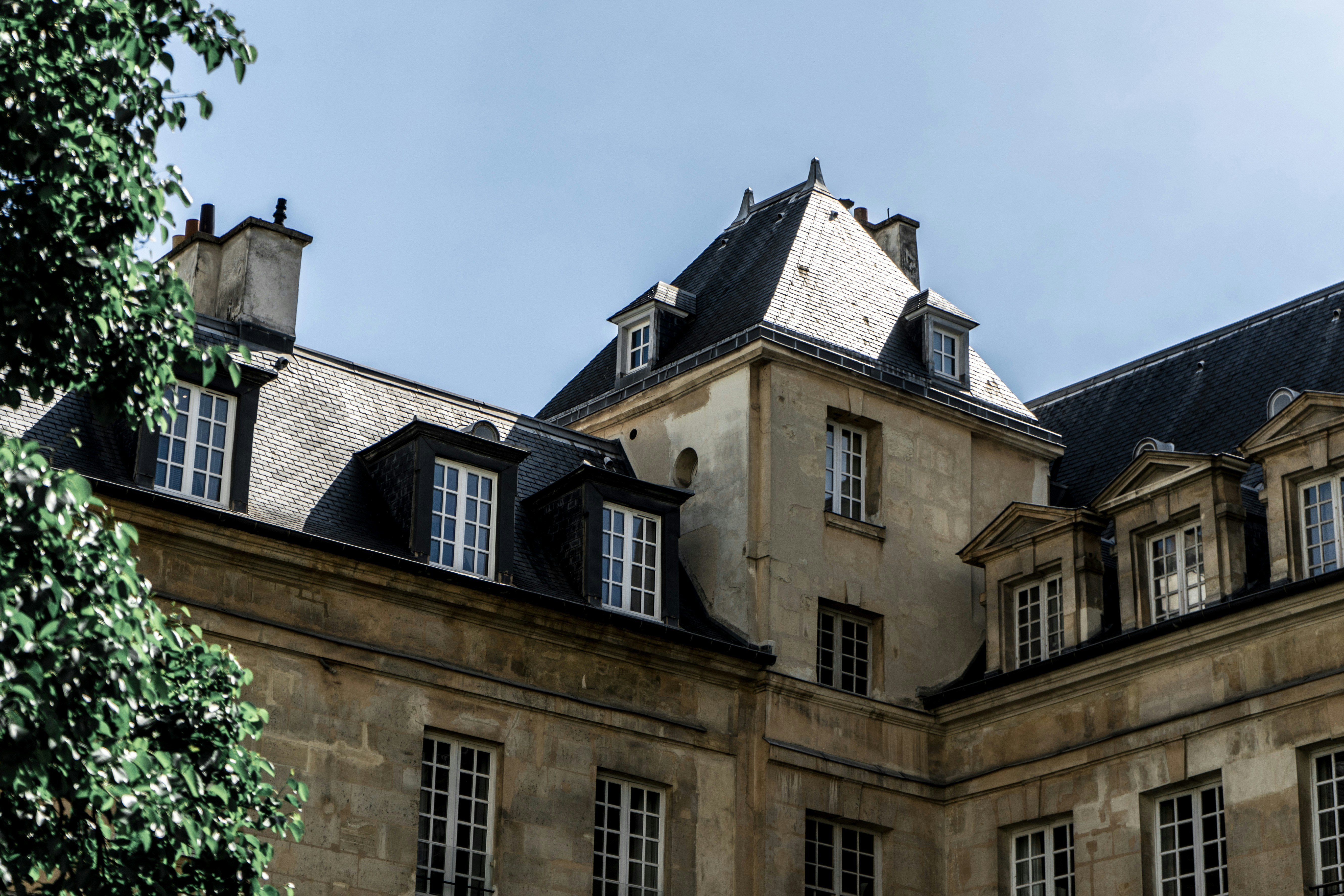 Photo by virussinside