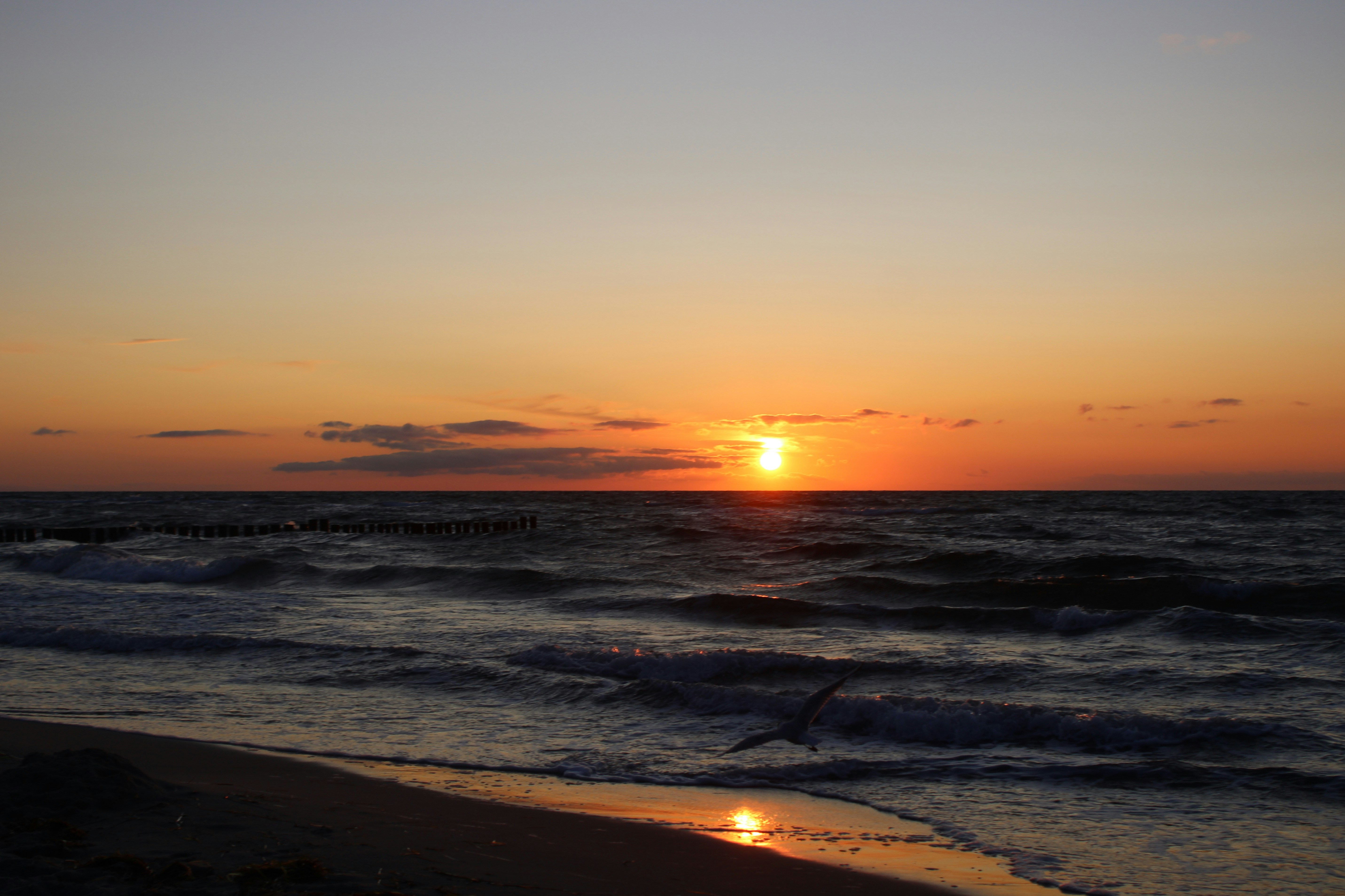 Photo by caropaulick