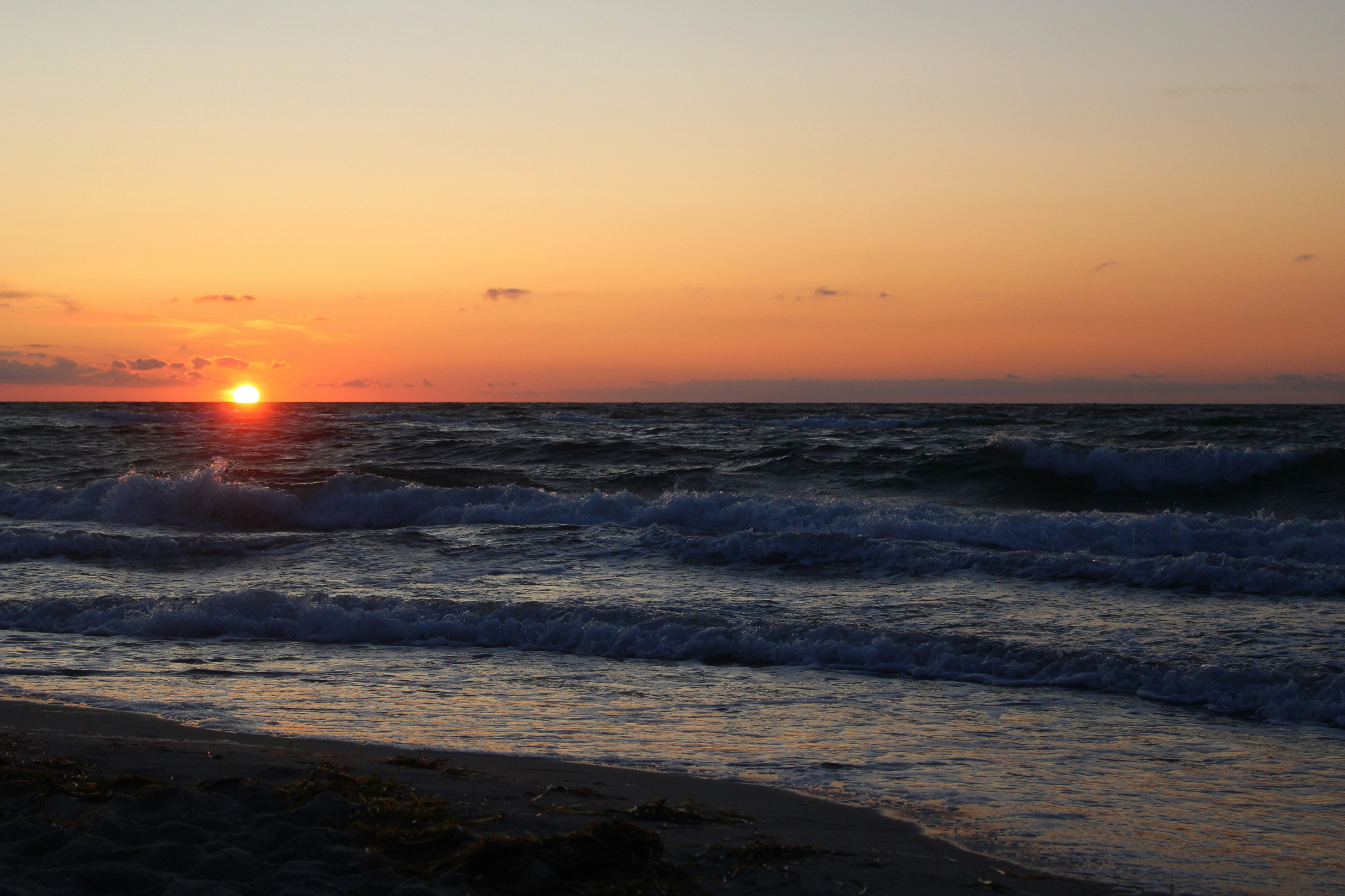 Photo by caropaulick