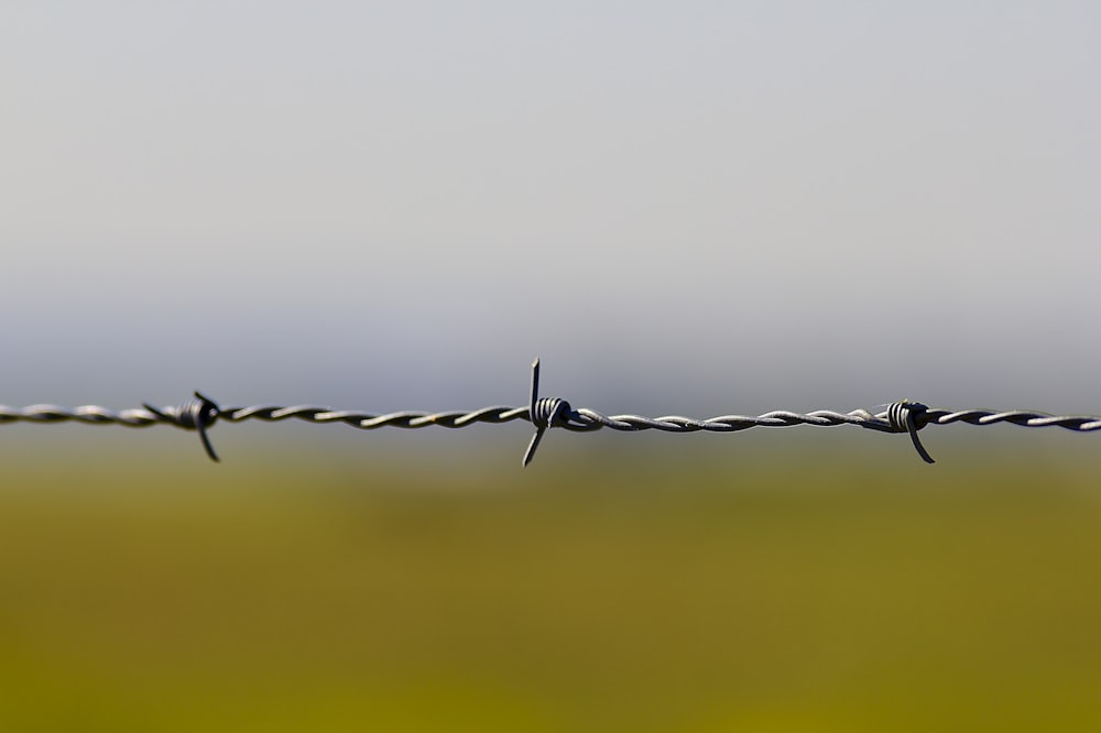 gray barb wire